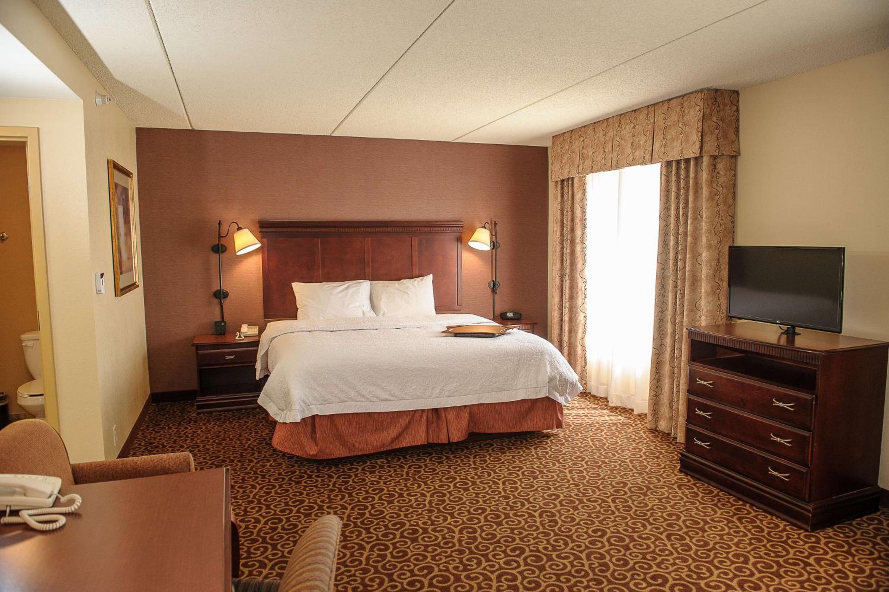 King Studio Suite with Sofa Bed - Non-Smoking - Photo 5