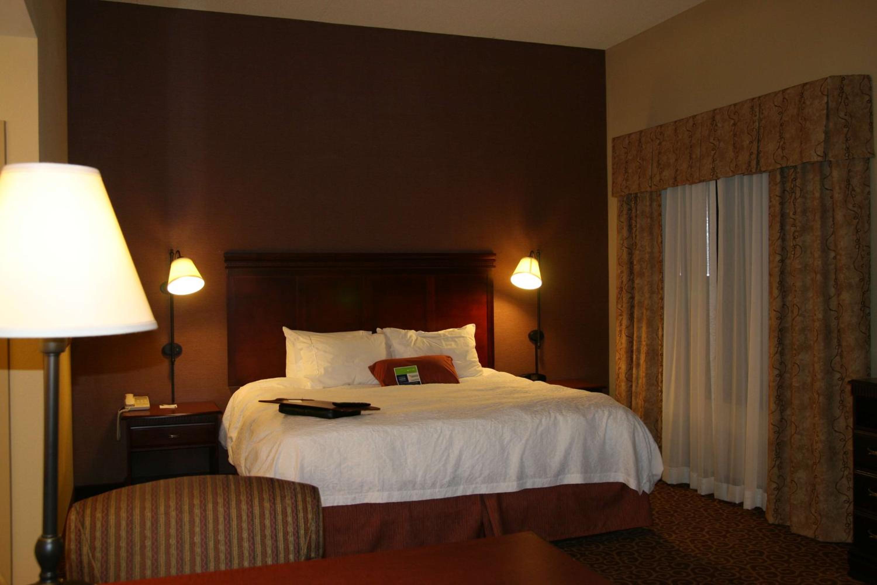 King Studio Suite with Sofa Bed - Non-Smoking - Photo 6