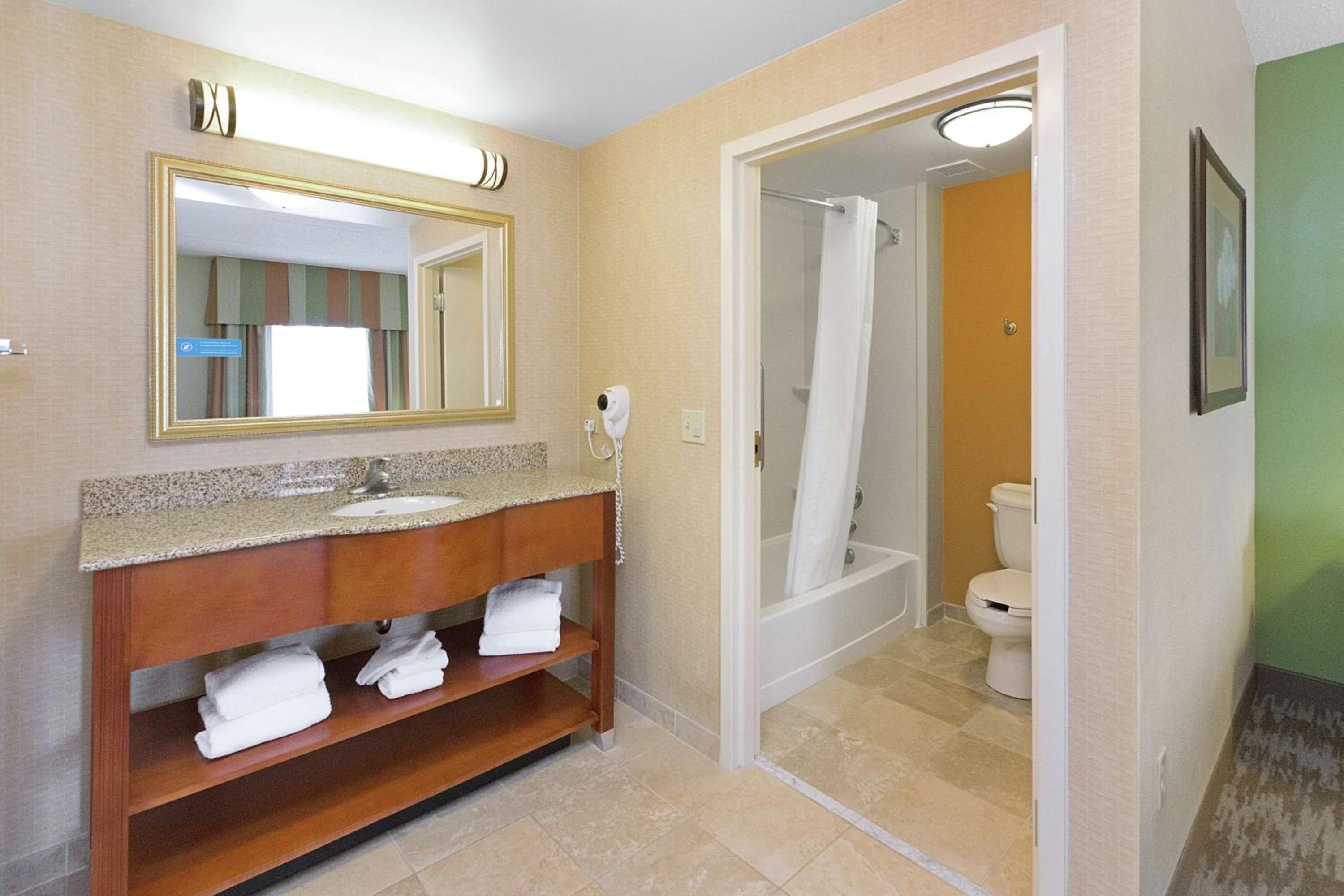 King Studio Suite with Sofa Bed - Non-Smoking - Photo 7