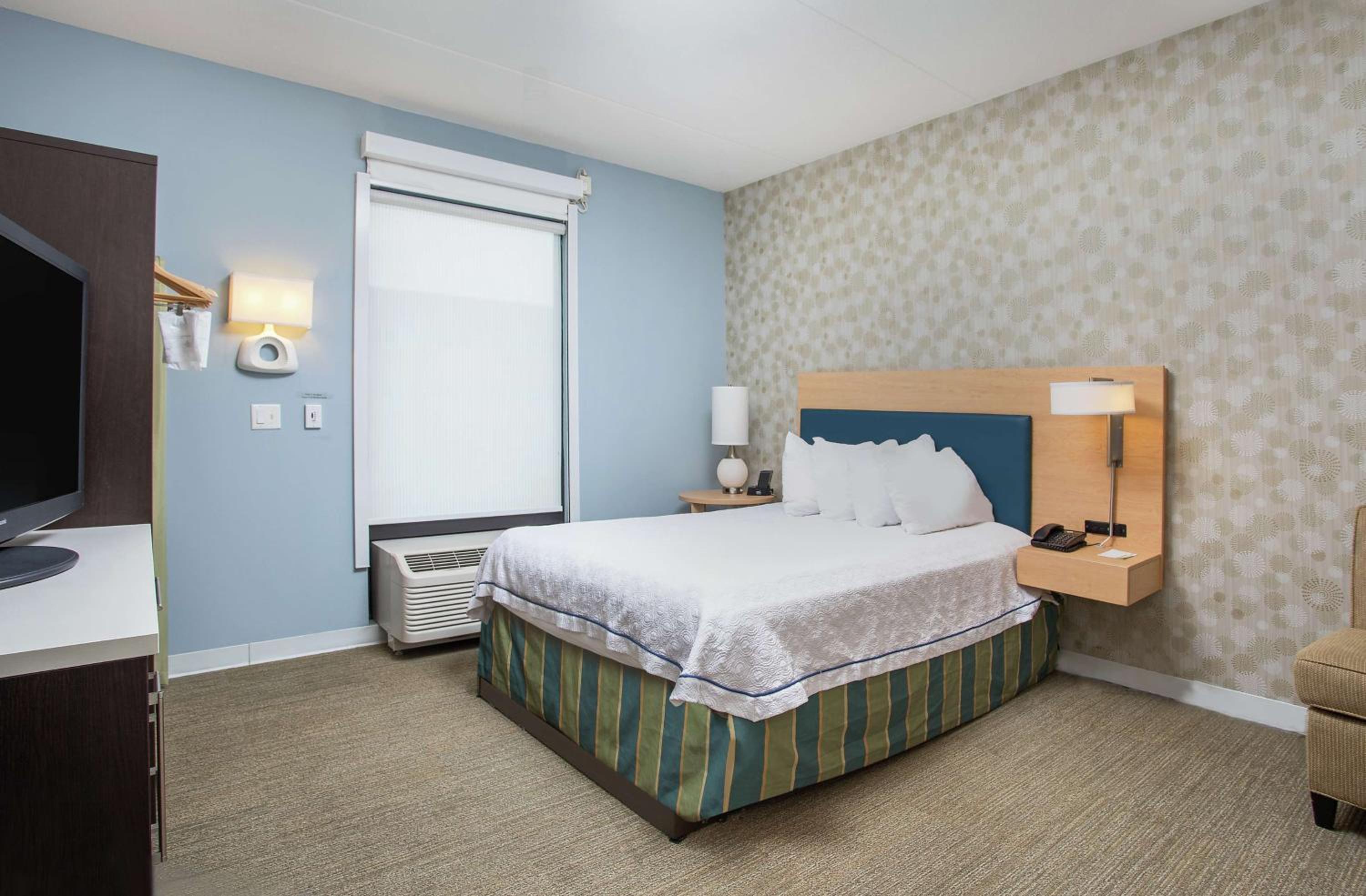 Suite, One Queen Bed