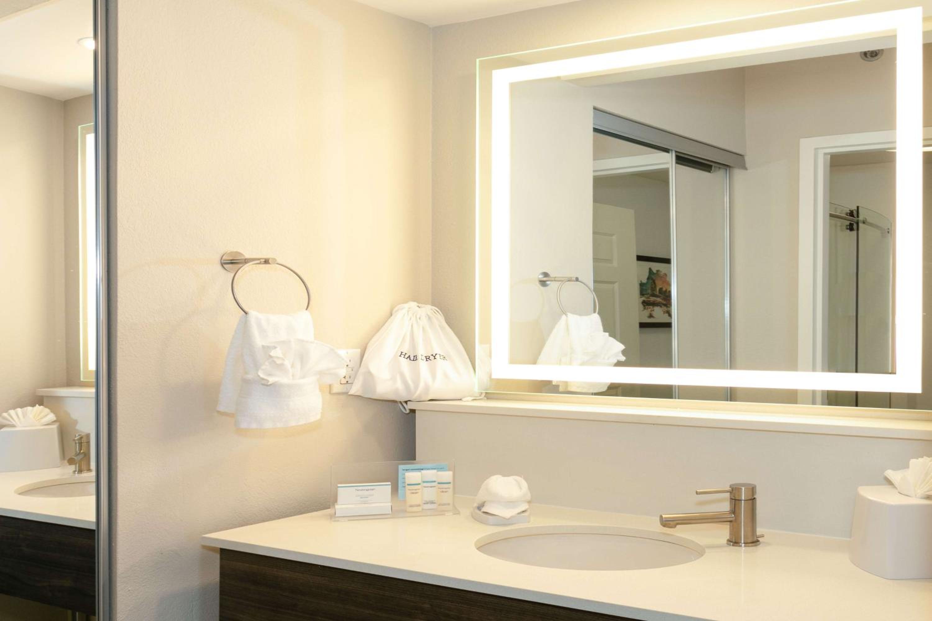 King Suite with Kitchen - Photo 5