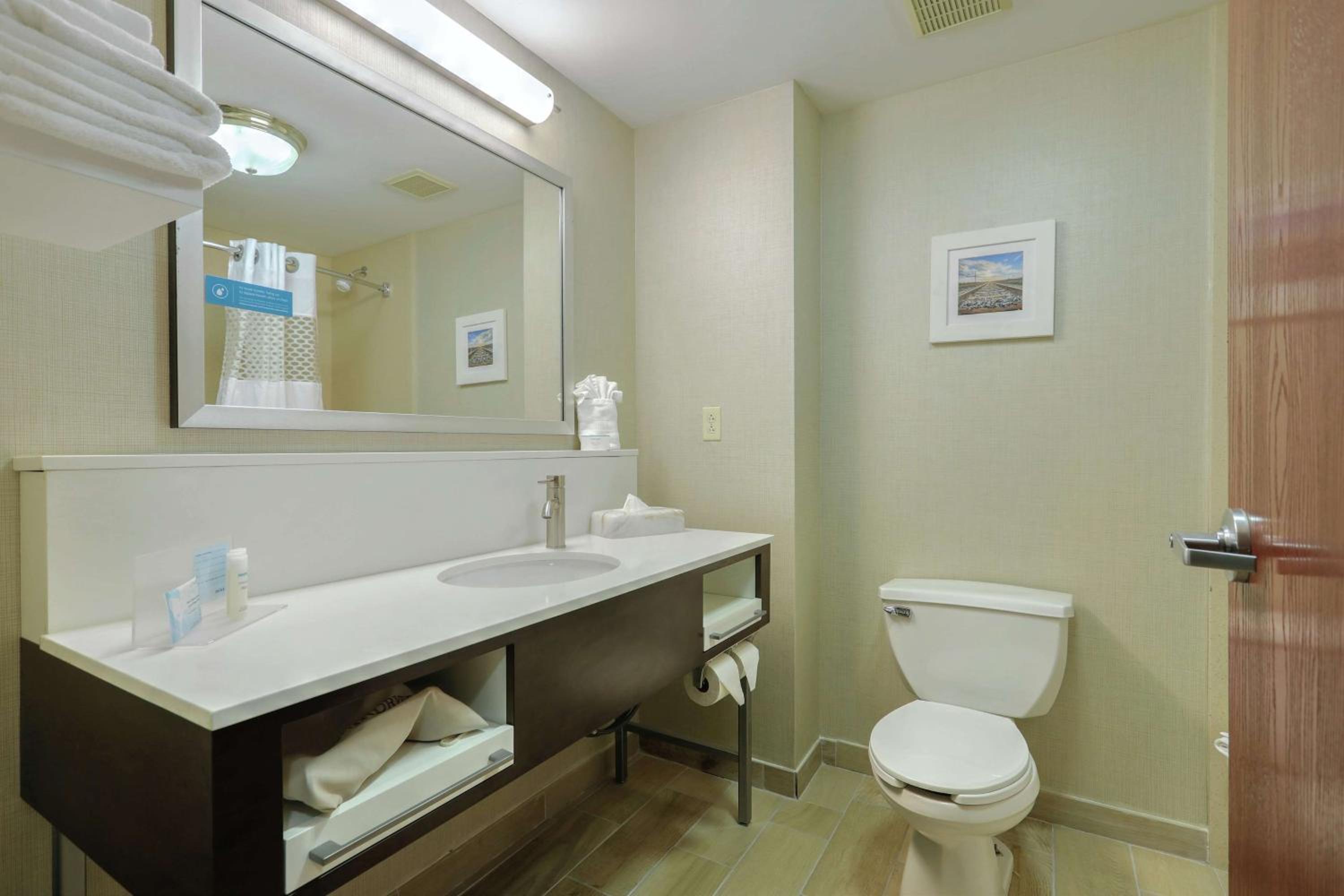 King Studio Suite with Sofa Bed - Non-Smoking - Photo 3