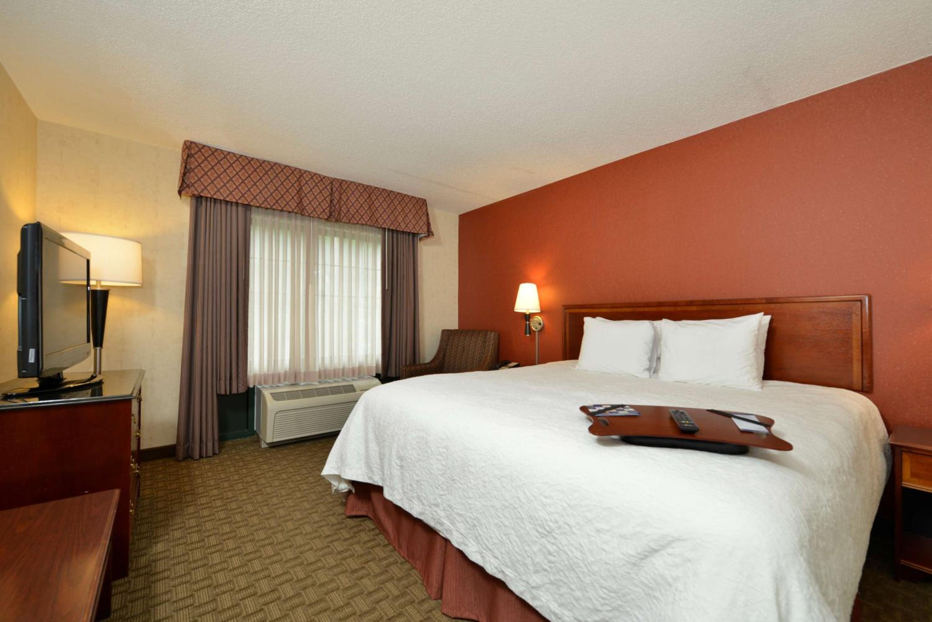 One-Bedroom King Suite with Sofa Bed - Non-Smoking - Photo 5