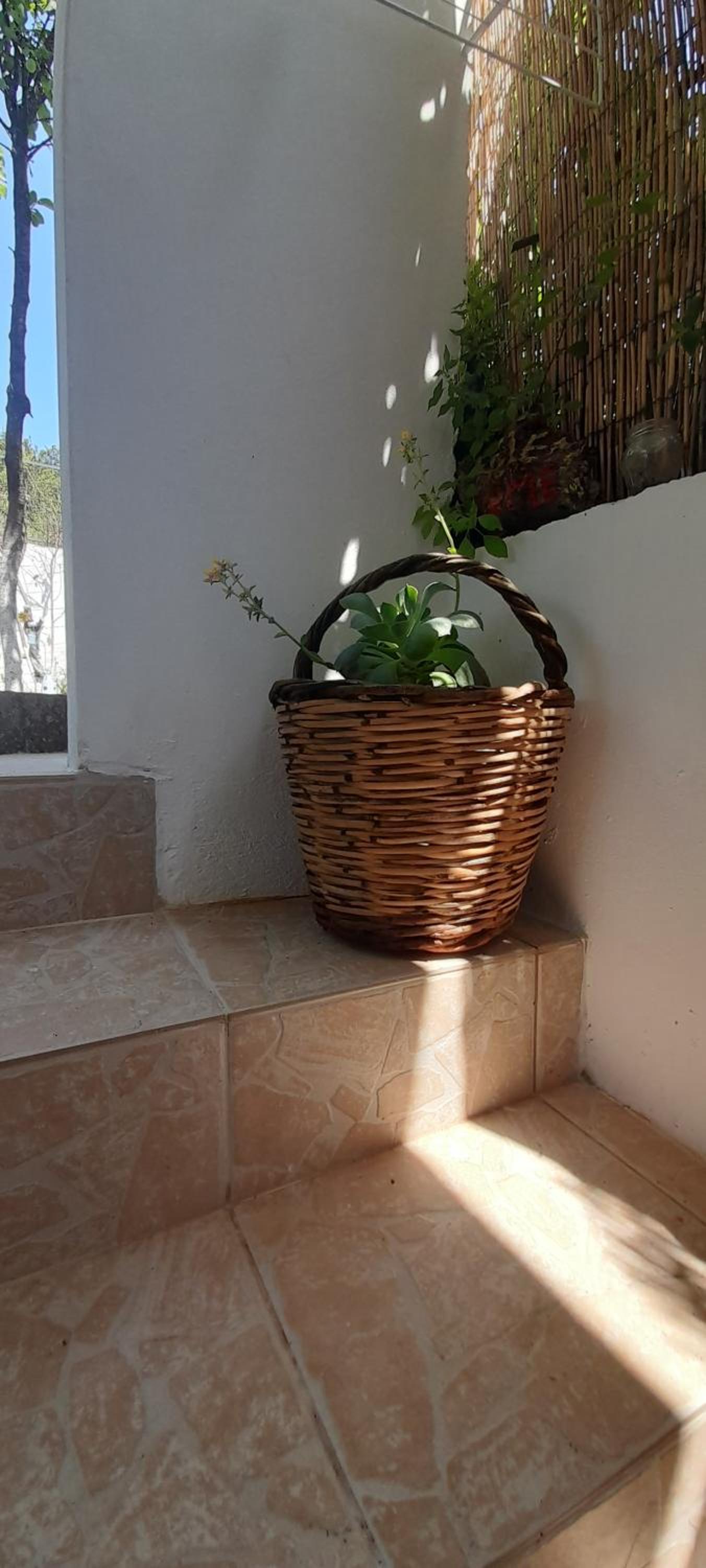 Triple Room with Terrace - Photo 17