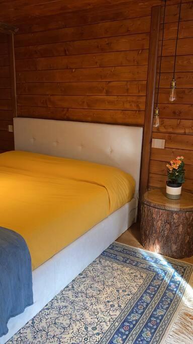 One-Bedroom House photo 2