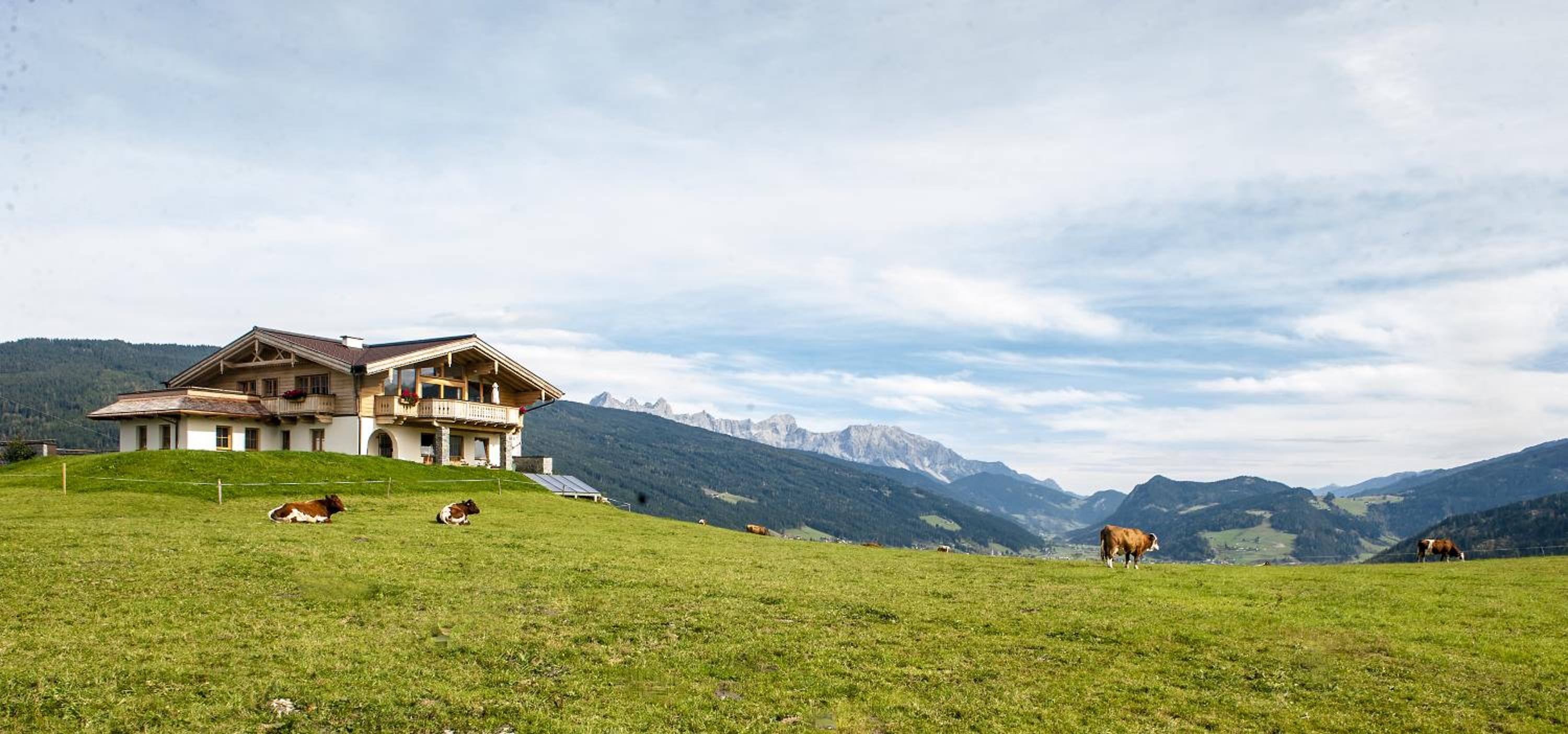 Chalet - Photo 16