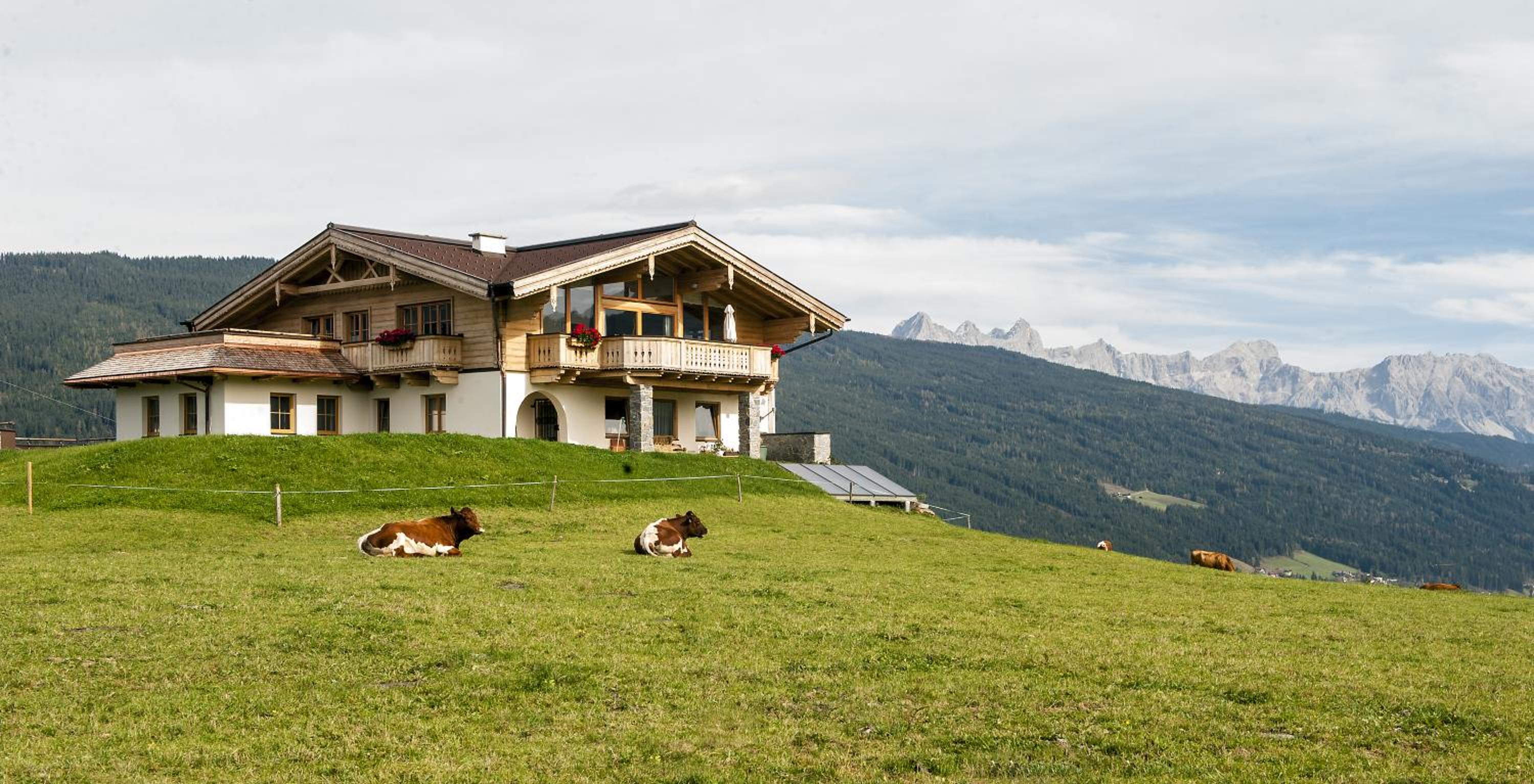 Chalet - Photo 15
