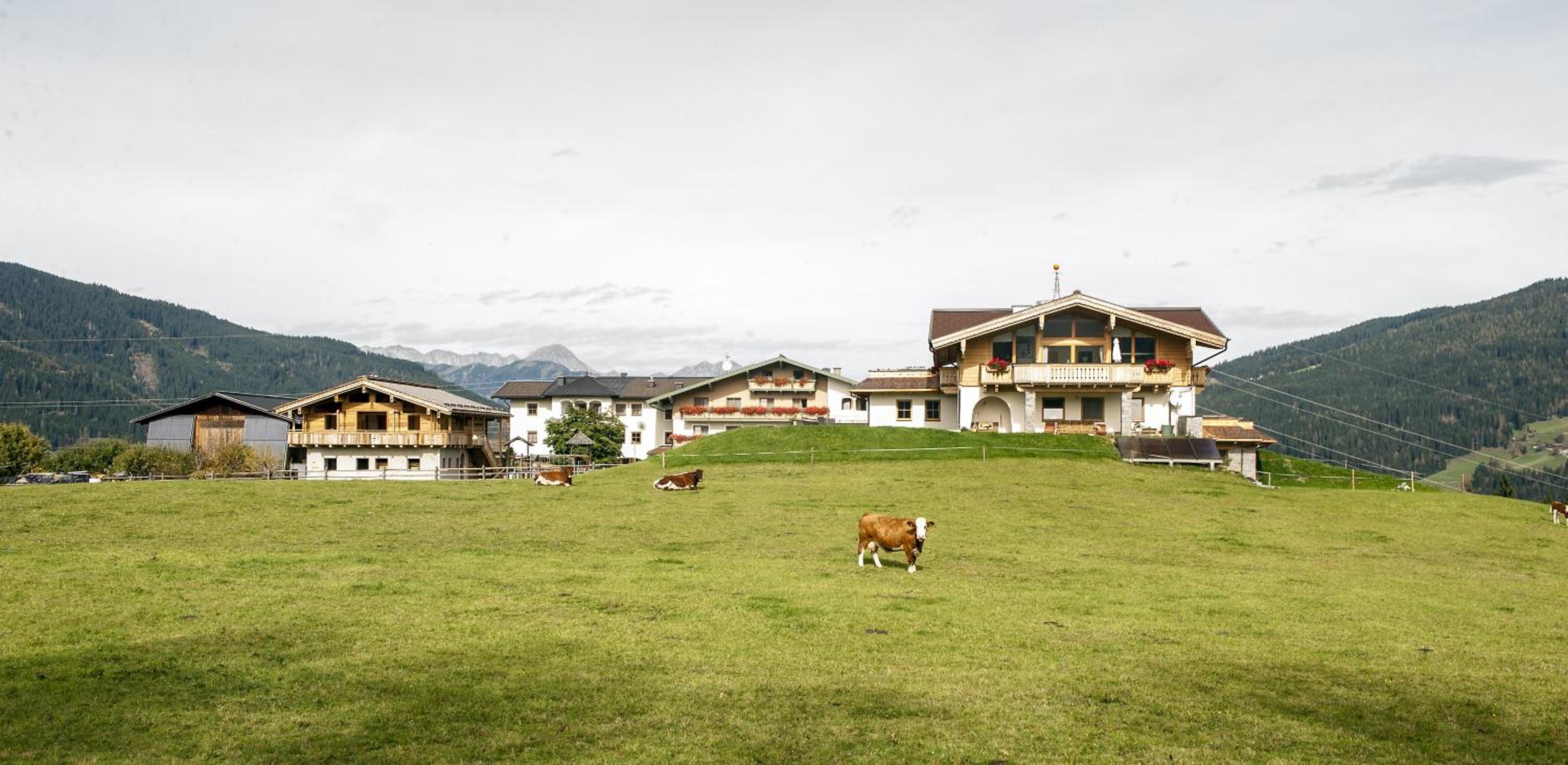 Chalet - Photo 14