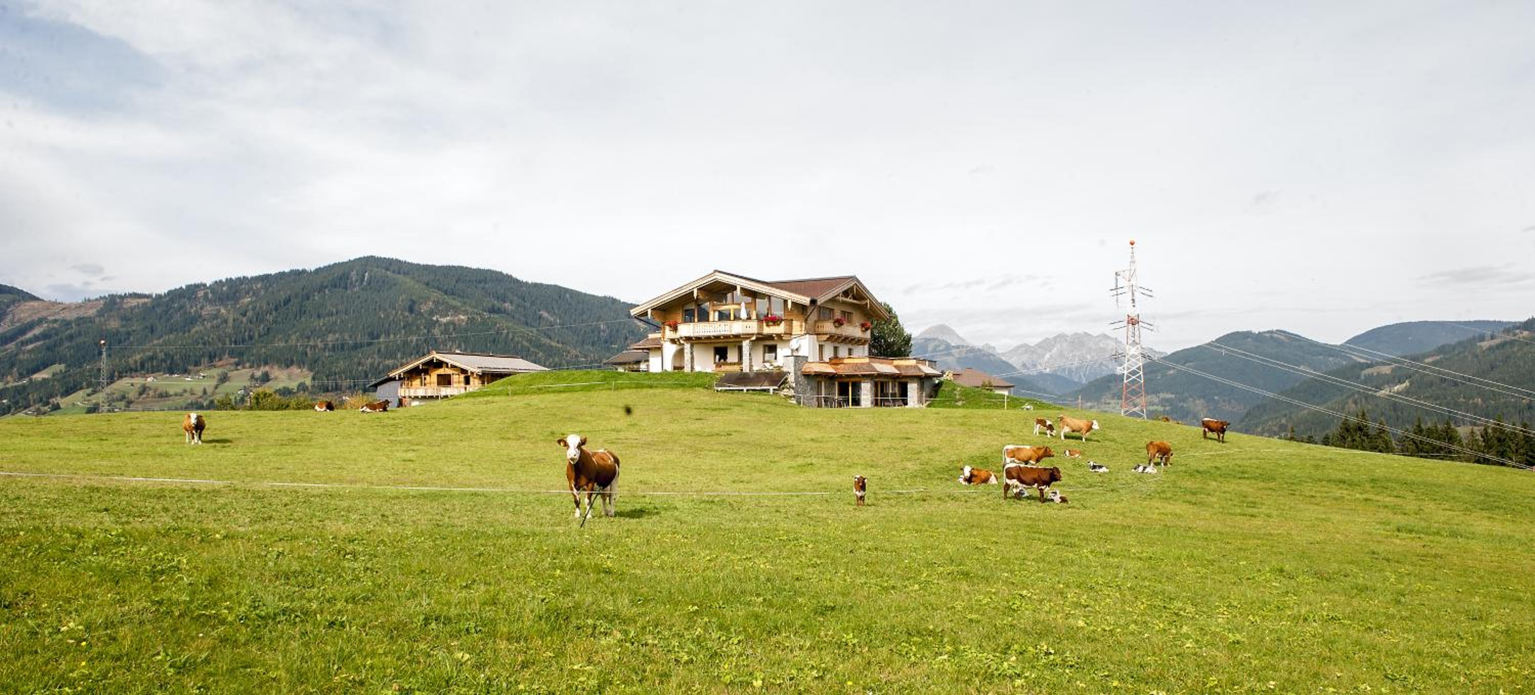 Chalet - Photo 7