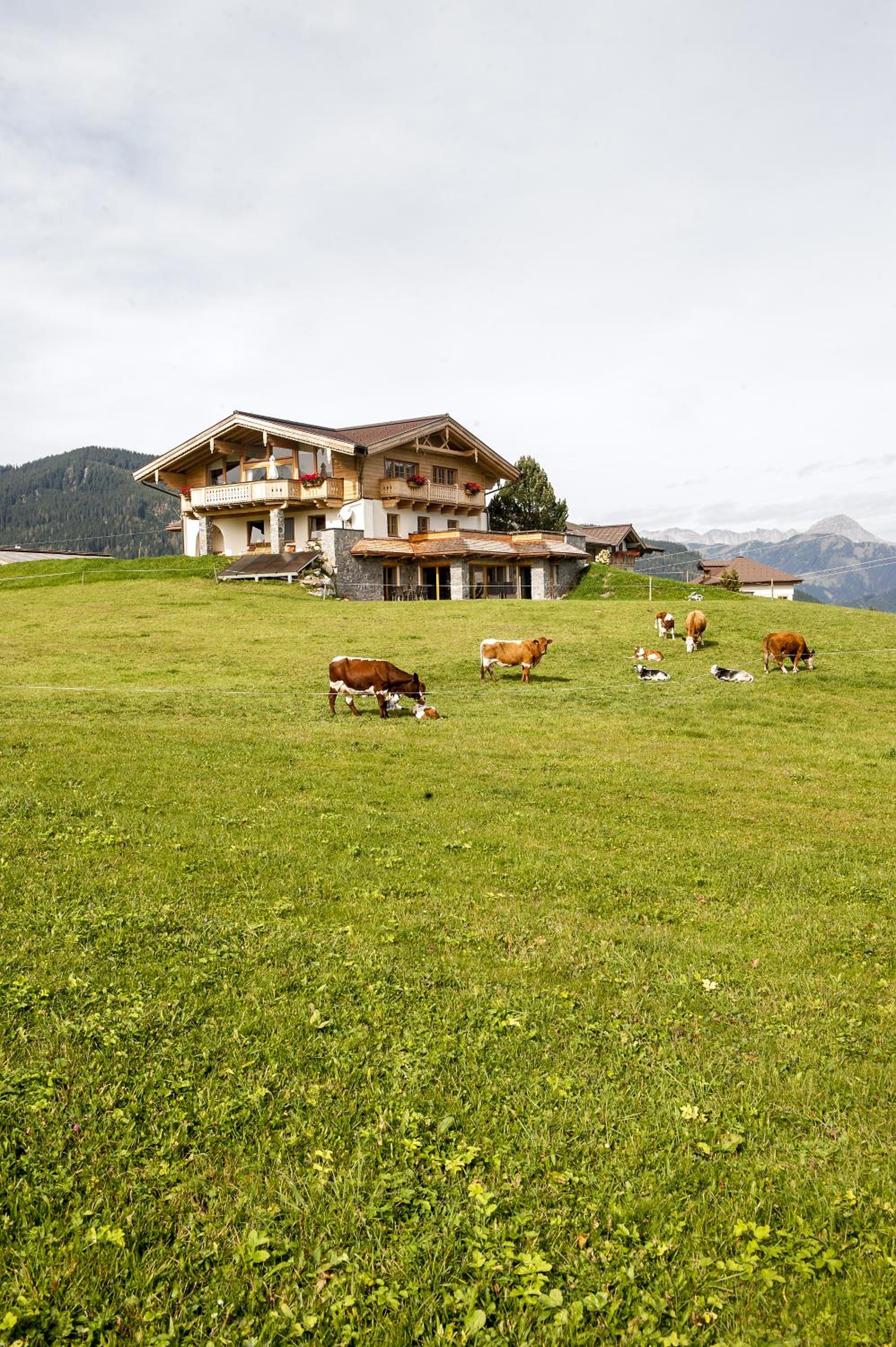 Chalet - Photo 6