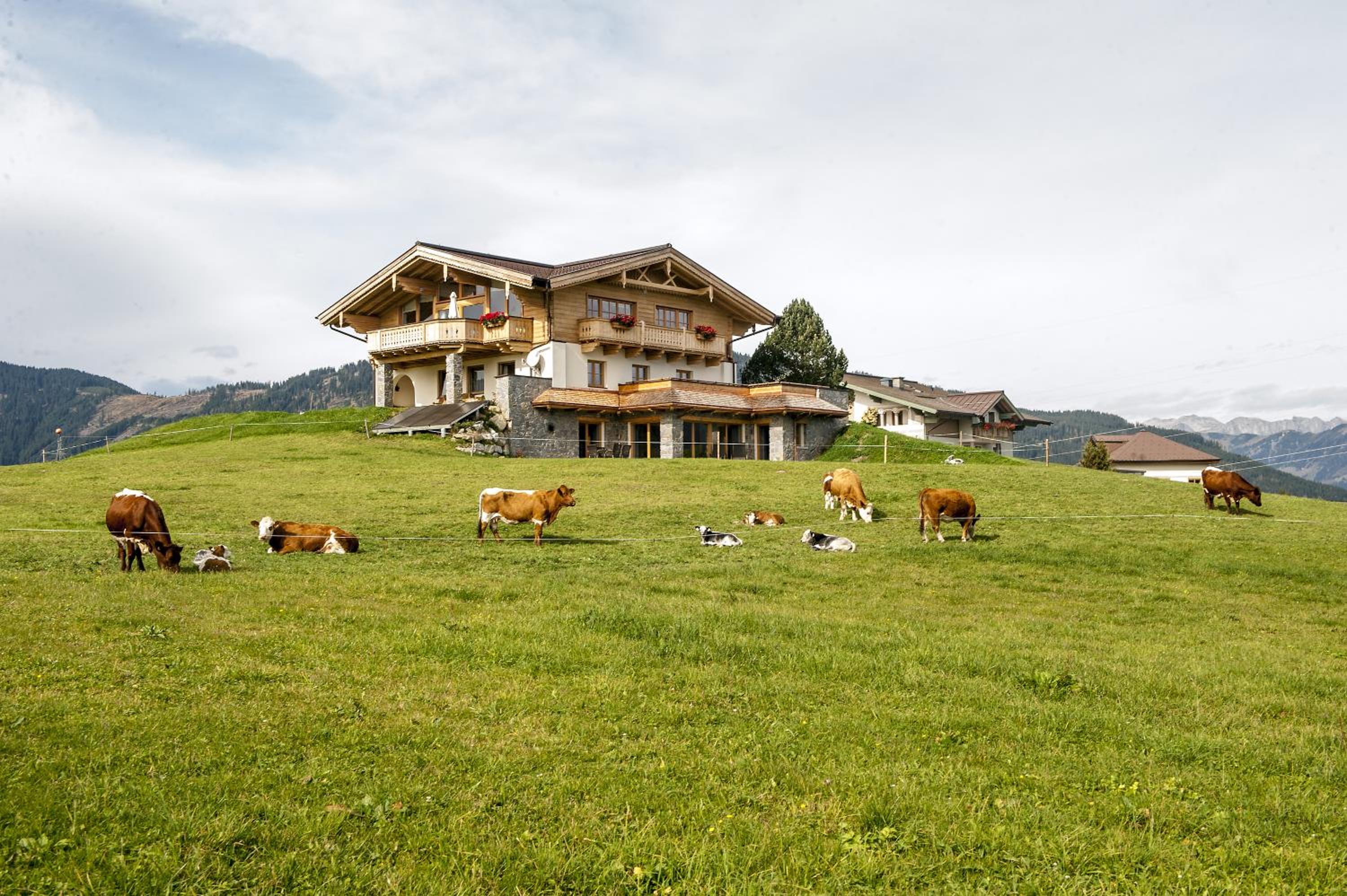 Chalet - Photo 5