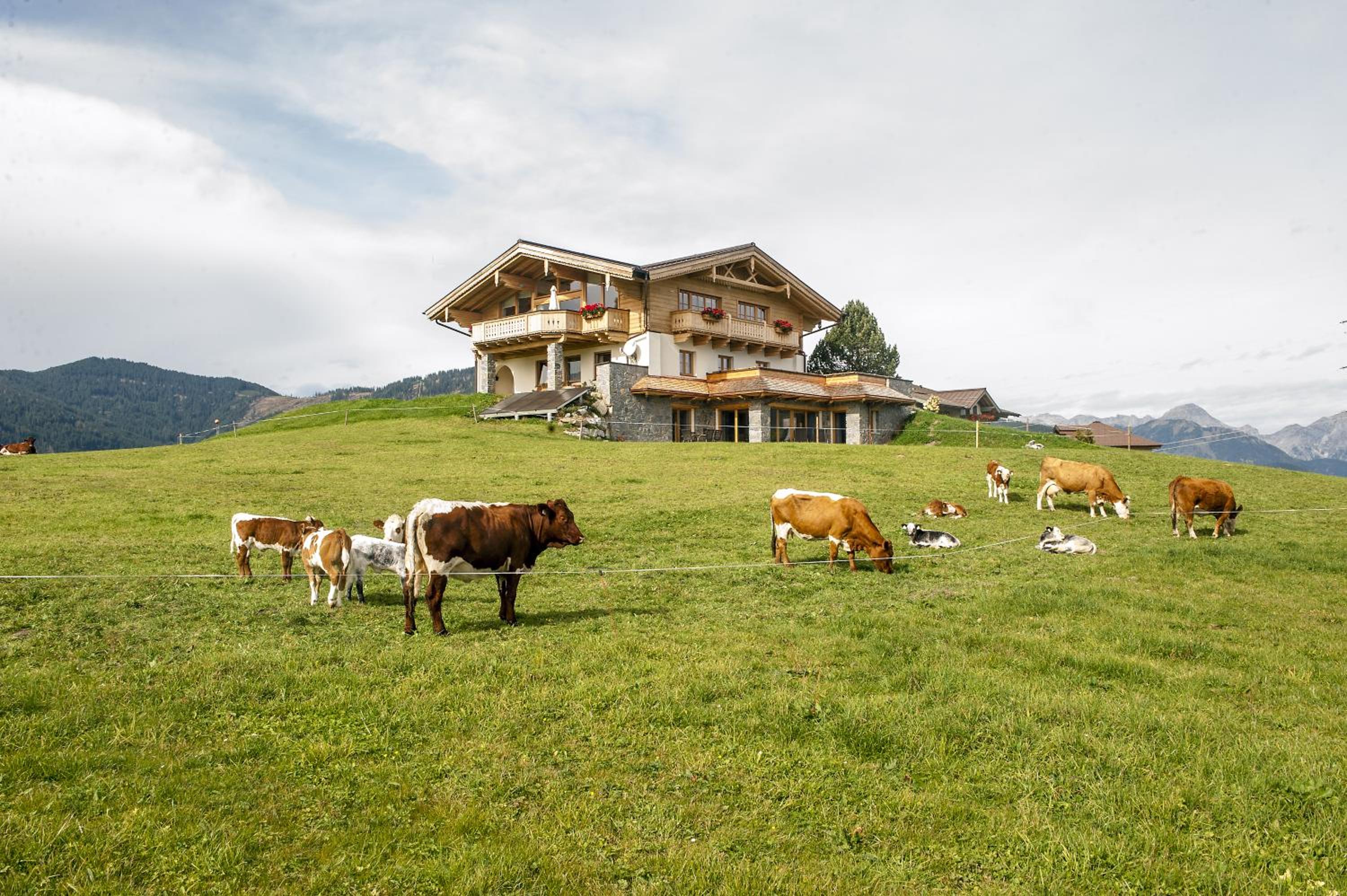 Chalet - Photo 4