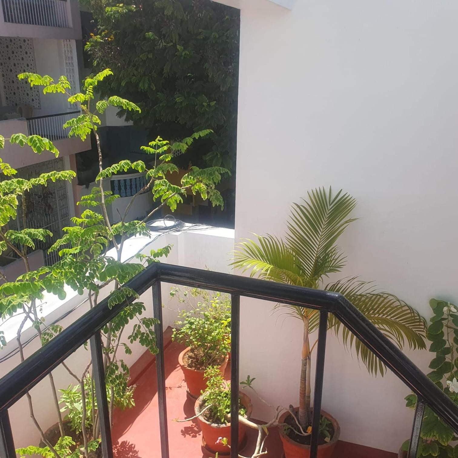 Double Room with Garden View photo 2