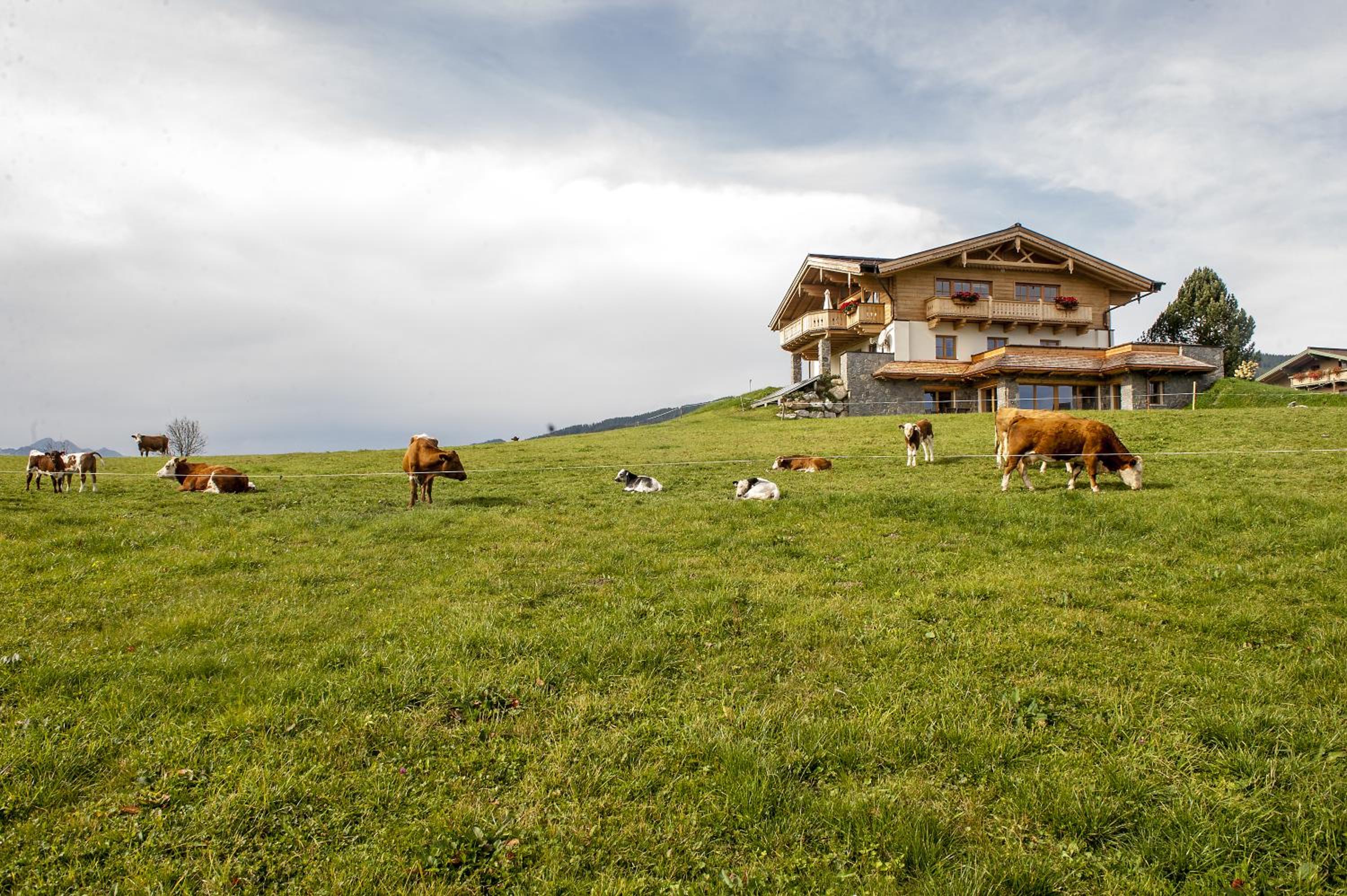 Chalet - Photo 3