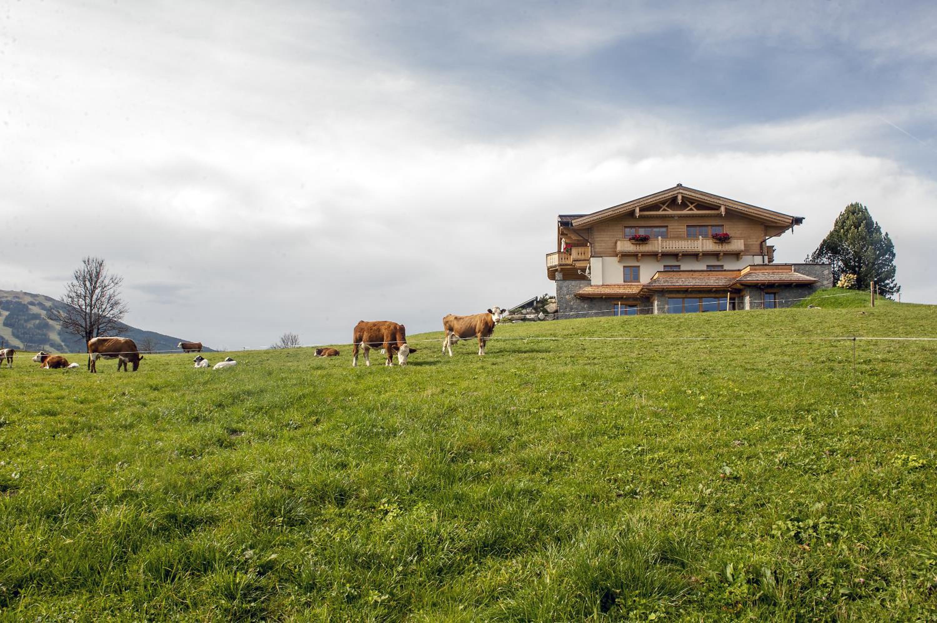 Chalet - Photo 68