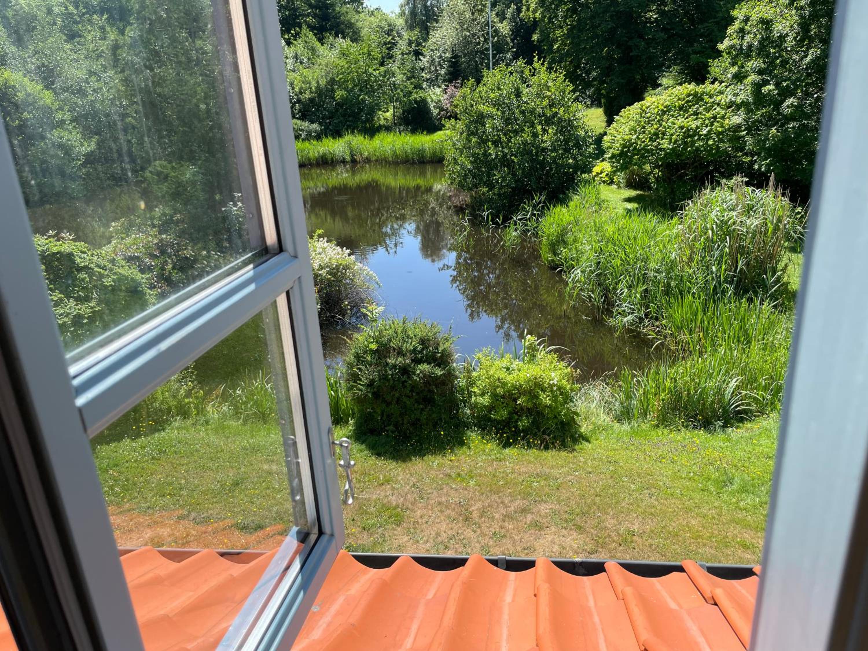 Double Room with Garden View photo 2