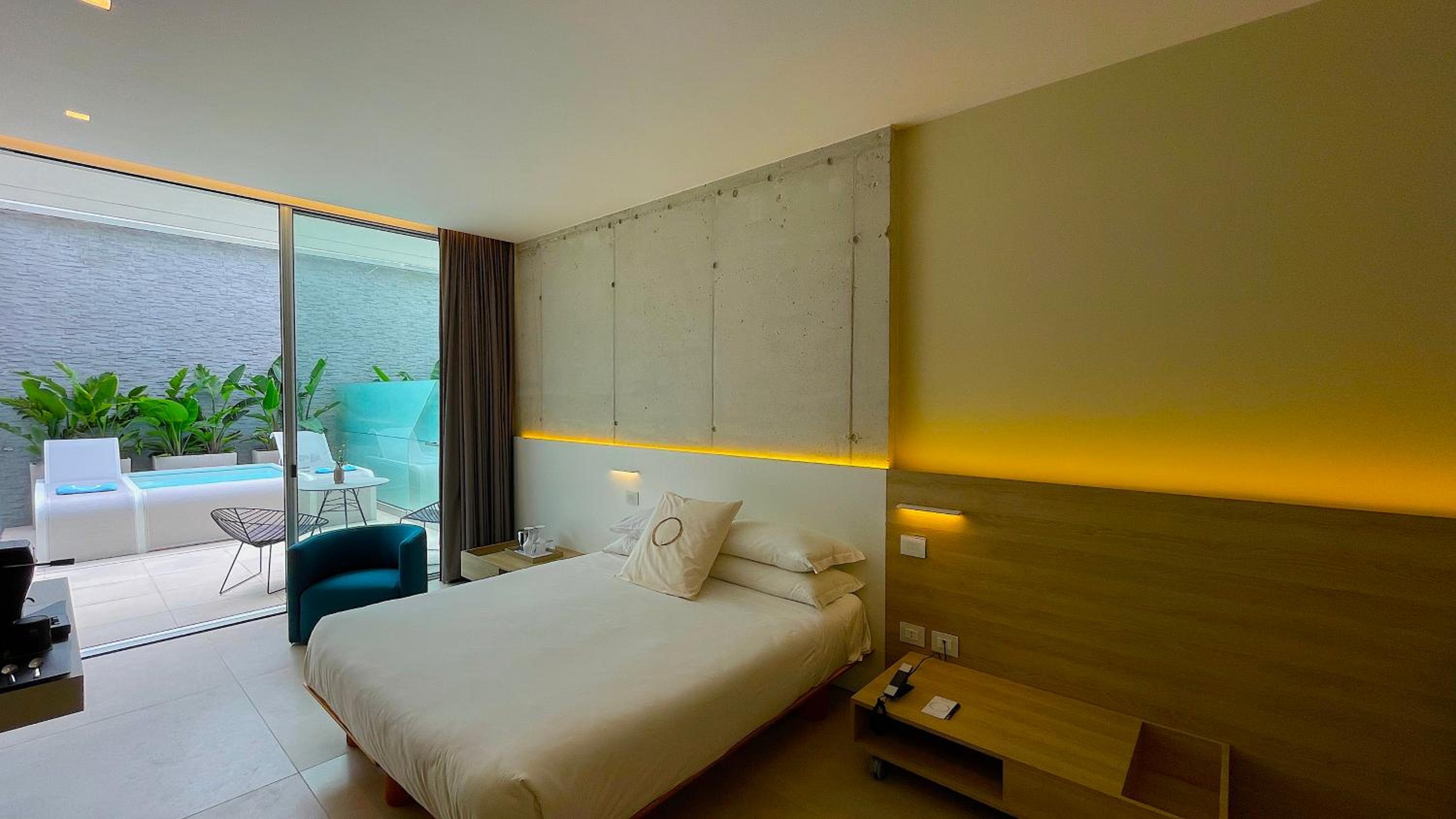 Deluxe Large Double Room with Mini Pool photo 1