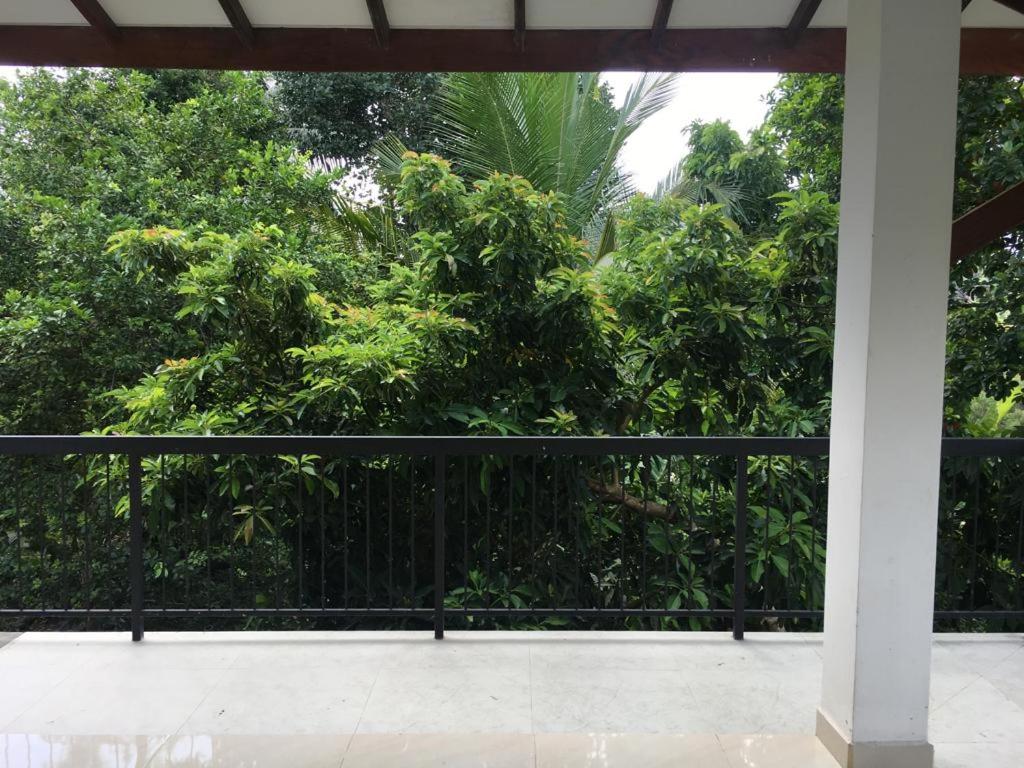Double Room with Terrace photo 3