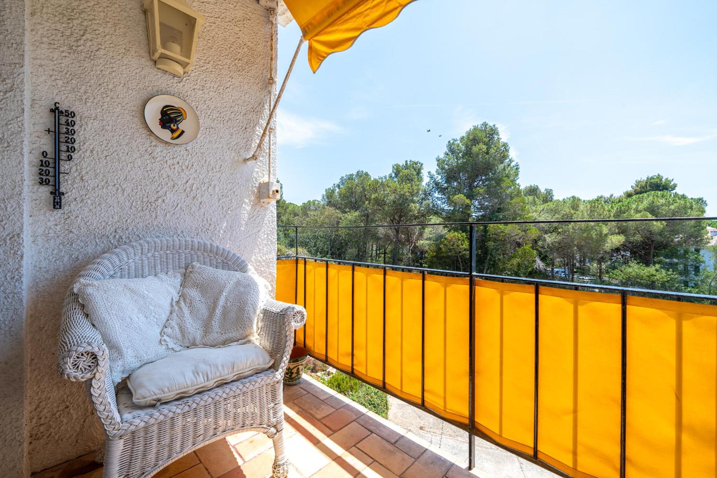 Apartment with Terrace photo 3