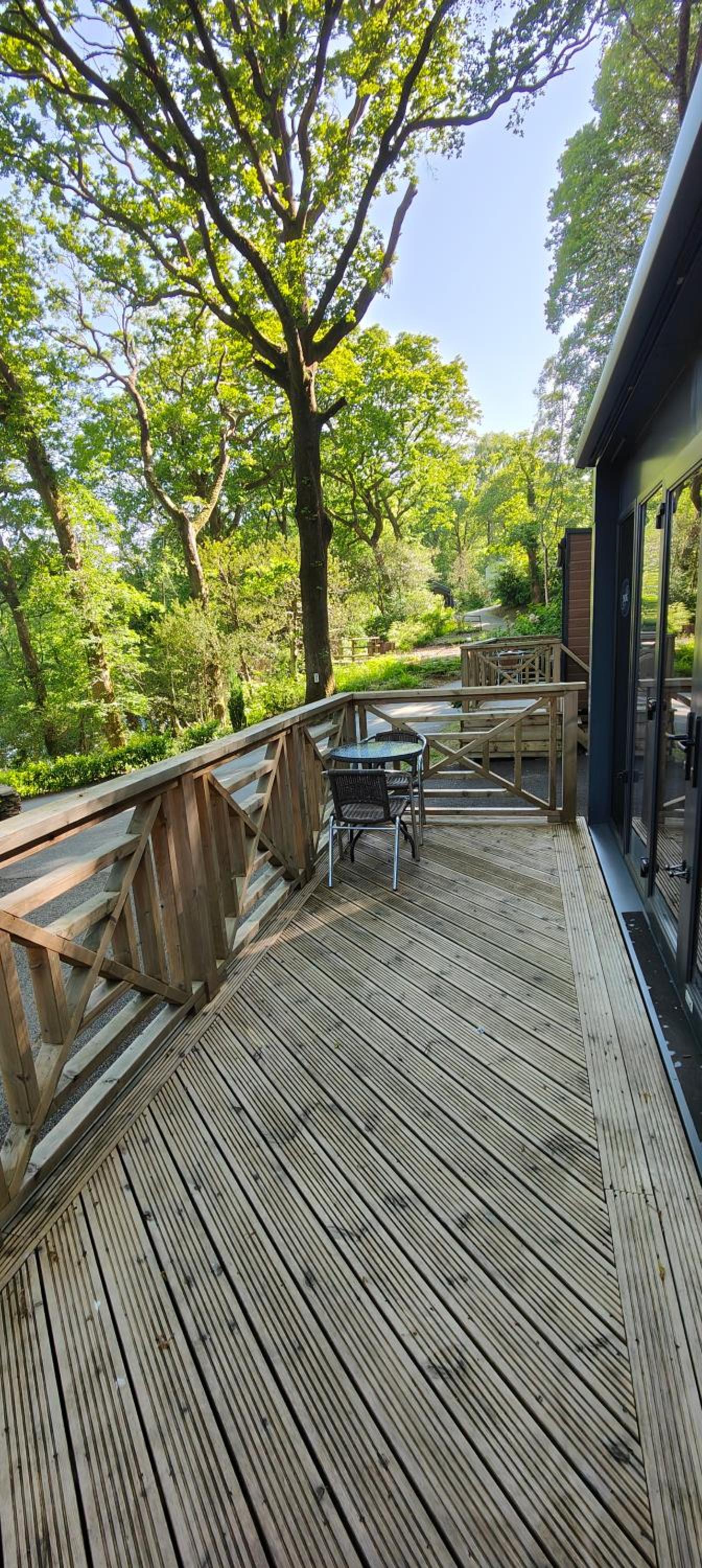 Forest Retreat with Balcony-No pets - Photo 2
