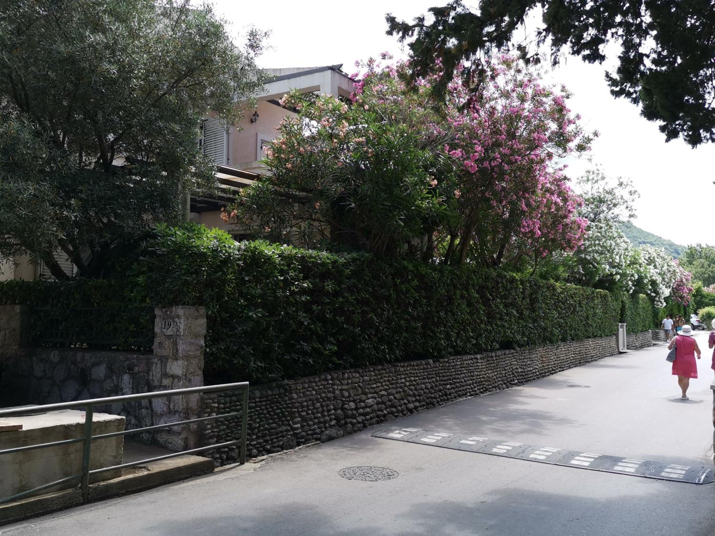 Studio with Terrace photo 2