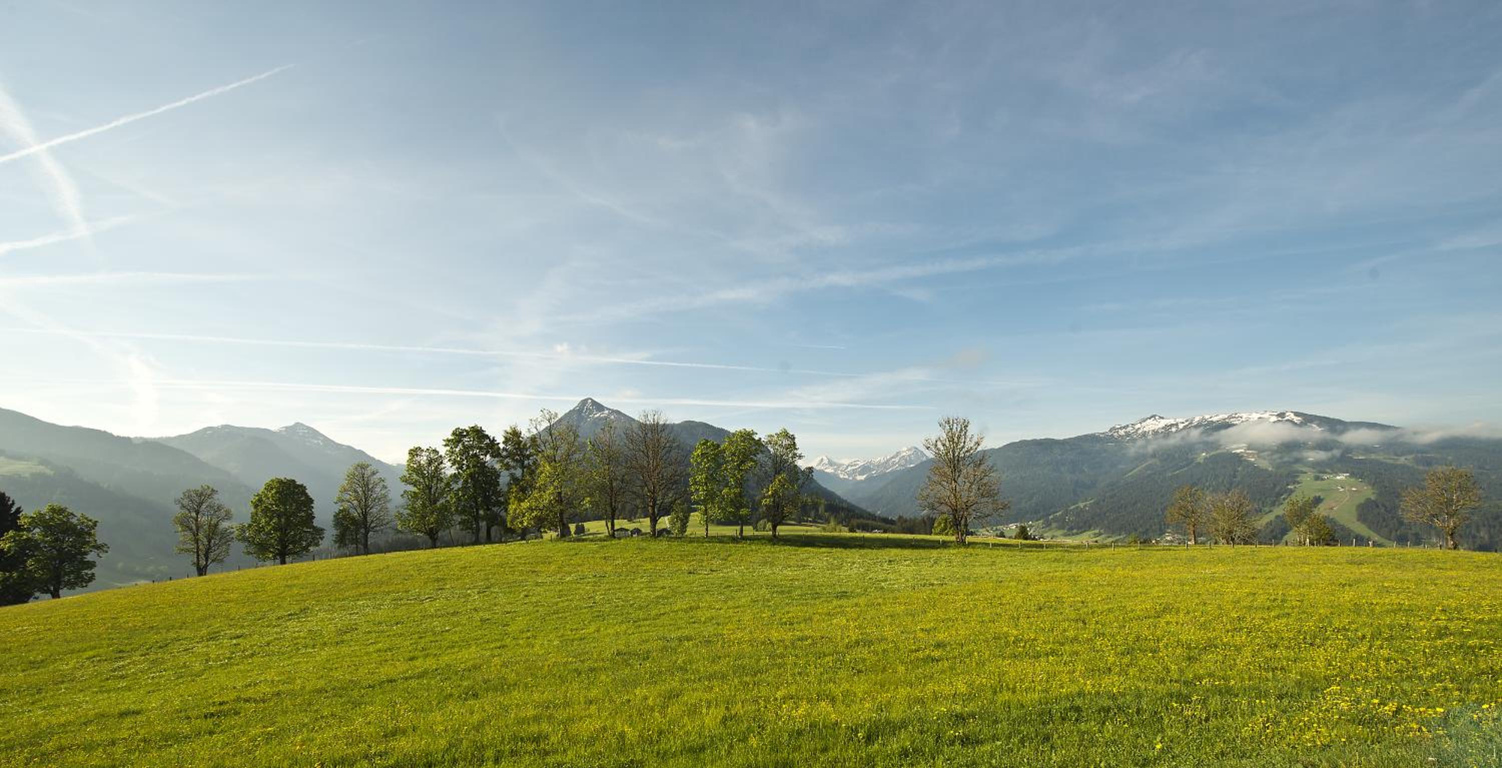 Chalet - Photo 56