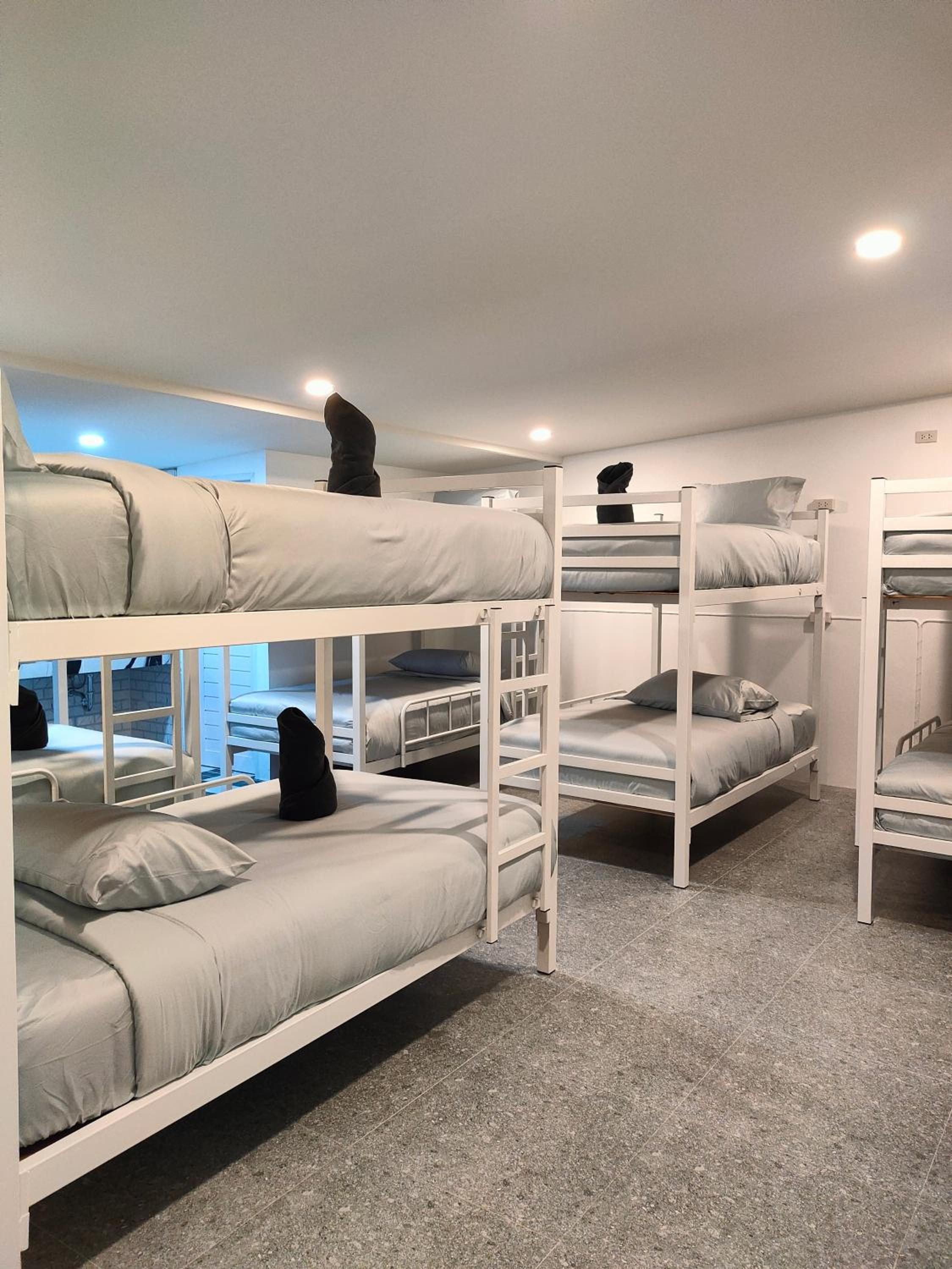 Bunk Bed in Mixed Dormitory Room photo 2