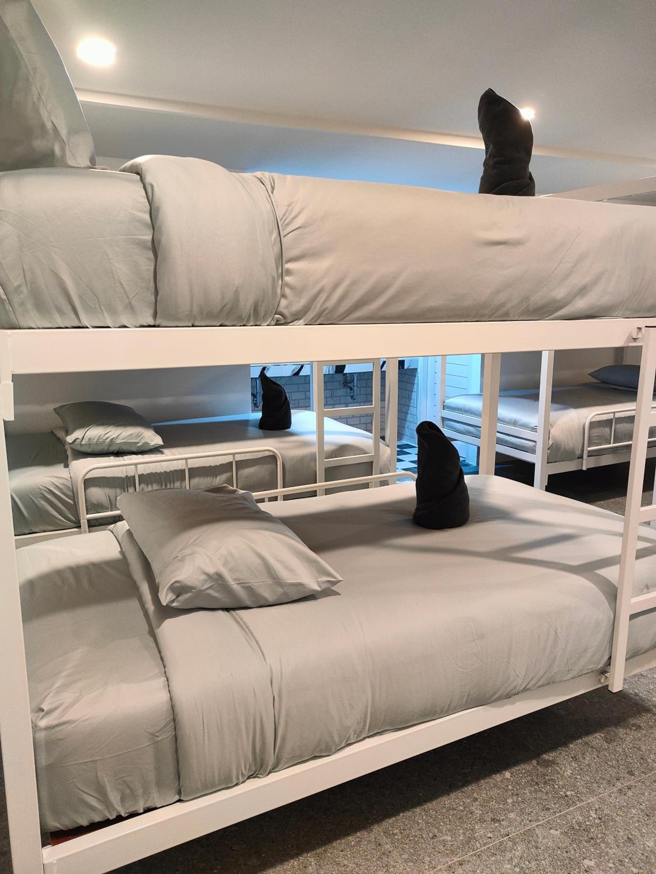 Bunk Bed in Mixed Dormitory Room photo 1
