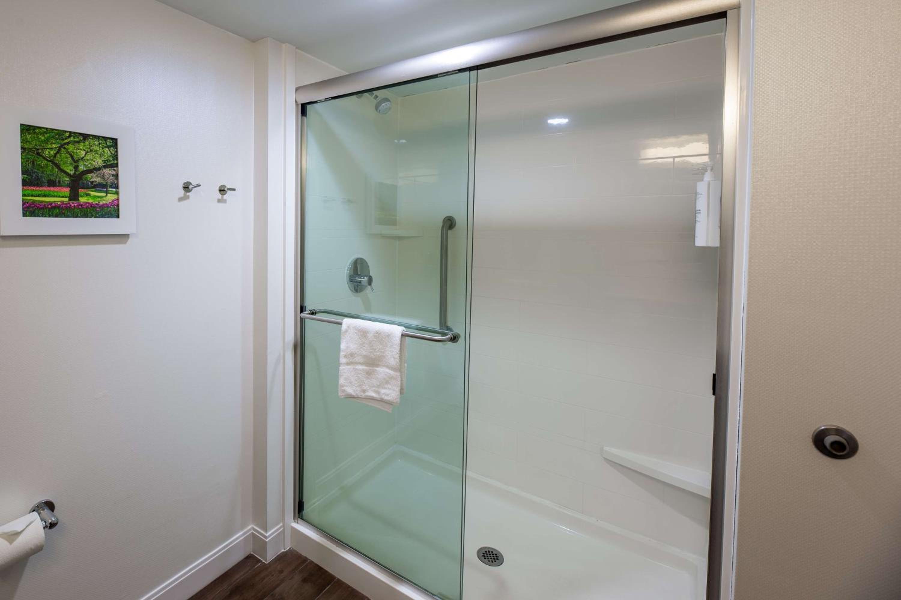 King Studio Suite - Non-Smoking - Photo 2