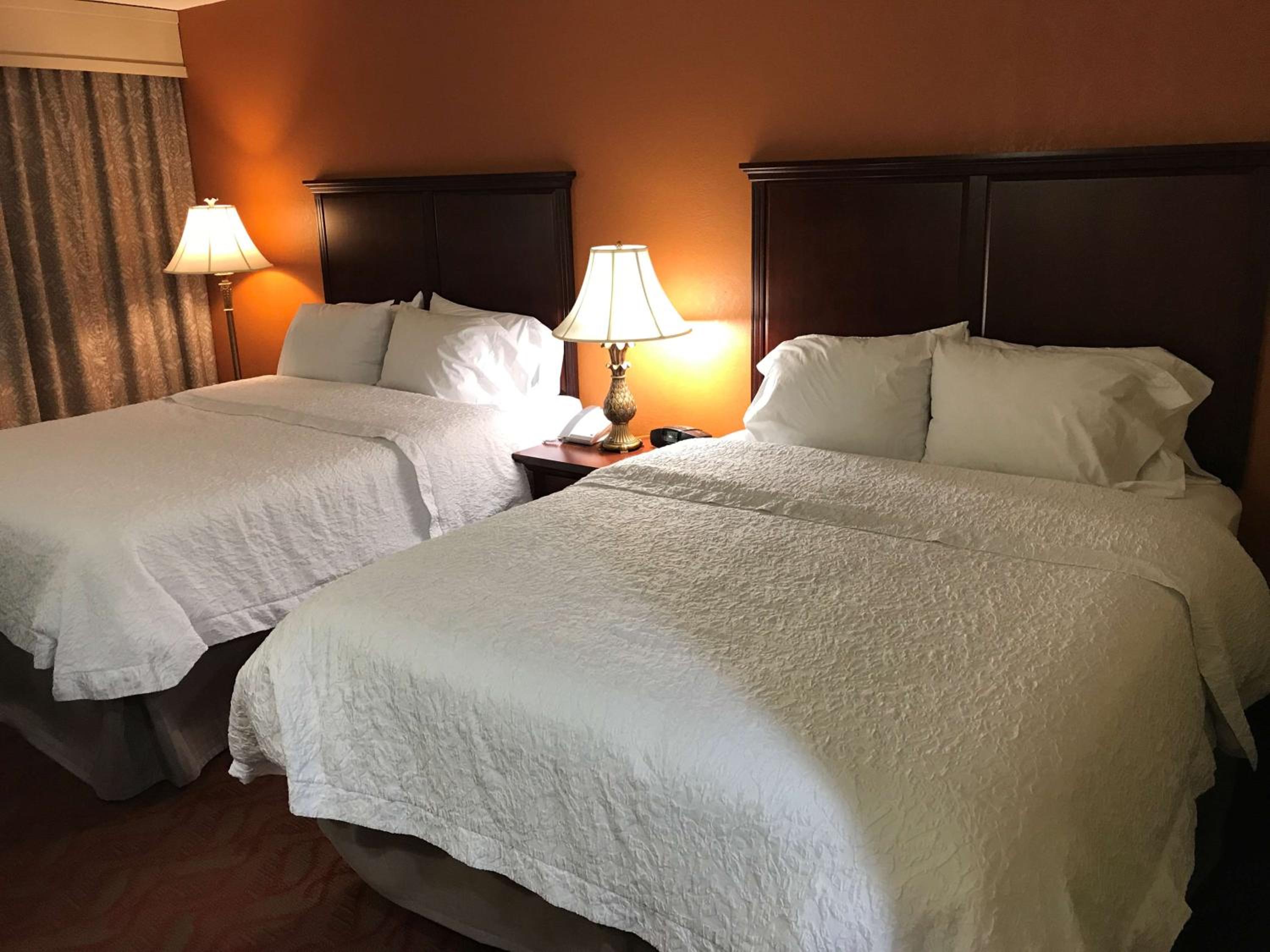Queen Studio Suite with Two Queen Beds and Sofa Bed - Non-Smoking - Photo 1