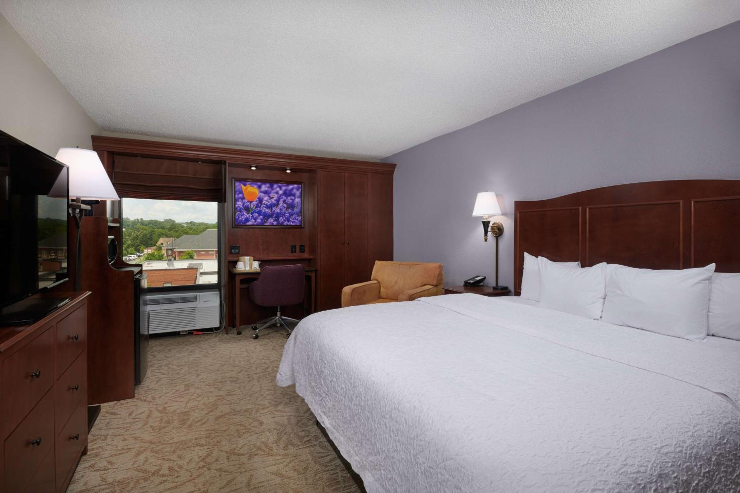 King Room with Microwave and Refrigerator - Non-Smoking - Photo 2