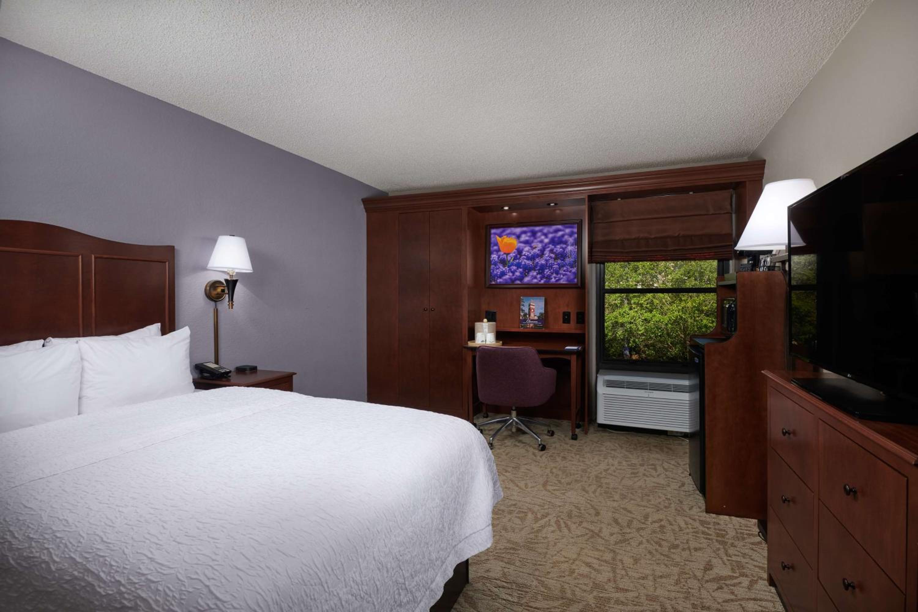 Double Room with Refrigerator and Microwave - Non-Smoking - Photo 3