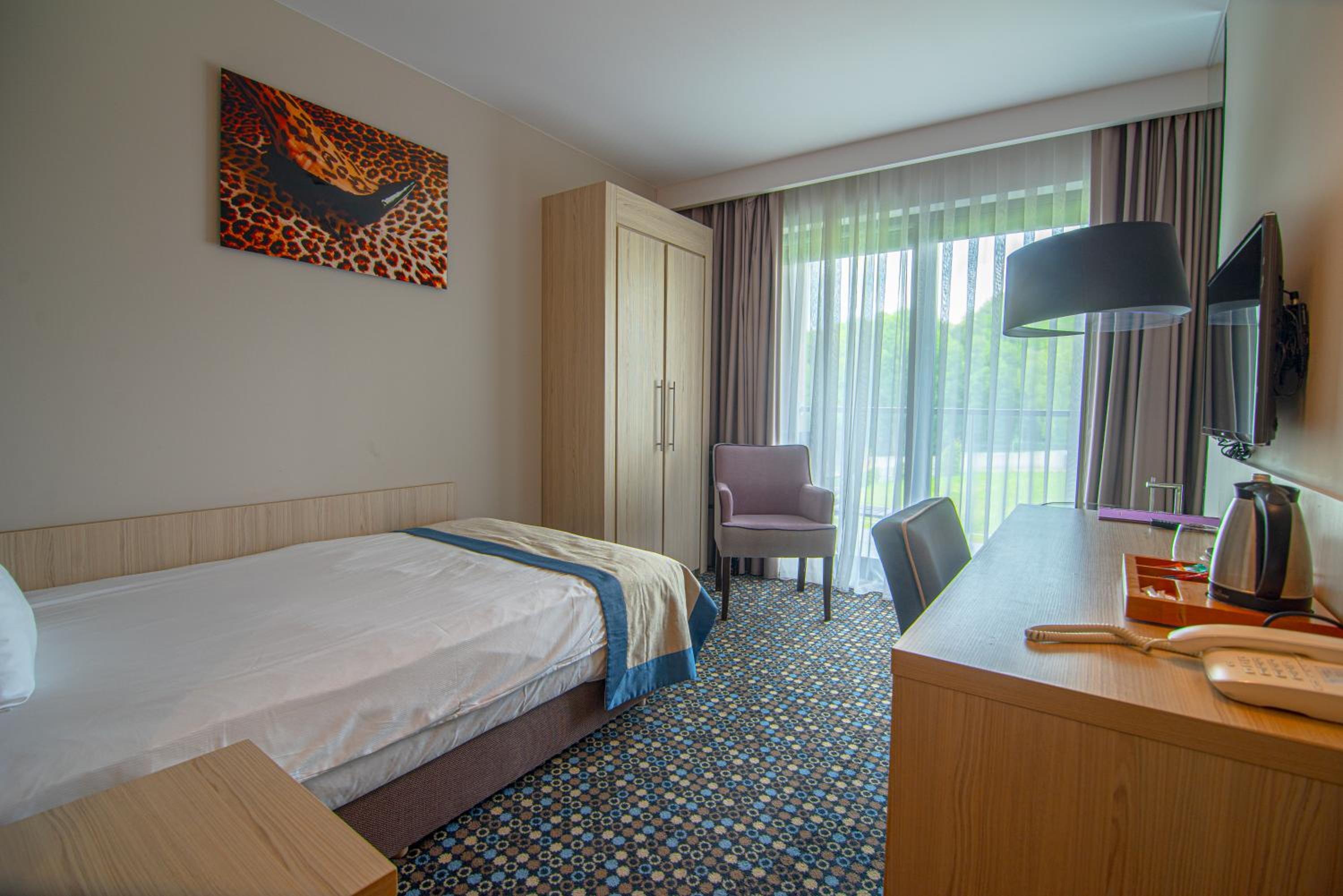 Superior Single Room photo 1