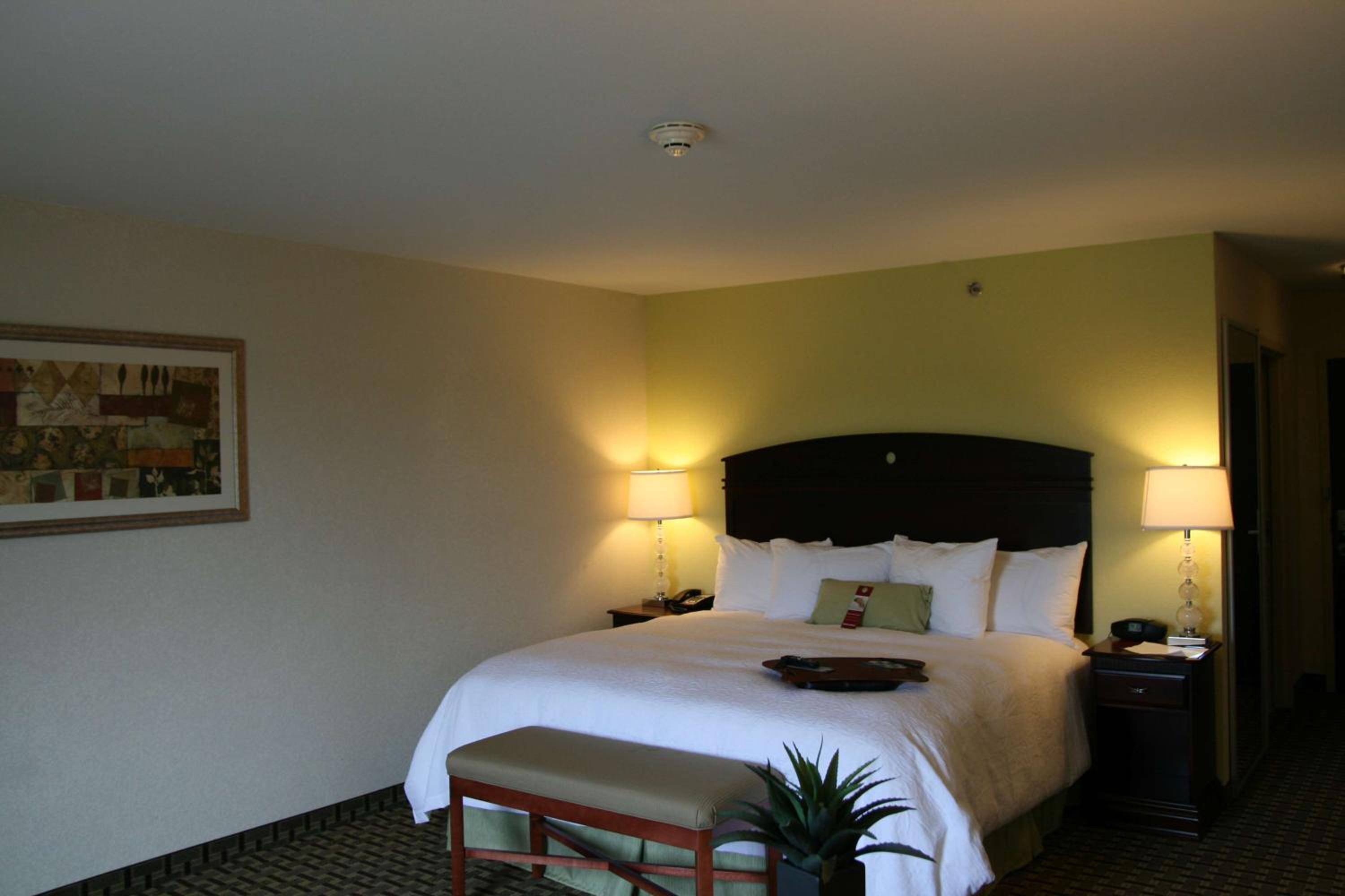 Deluxe King Room - Non-Smoking - Photo 4