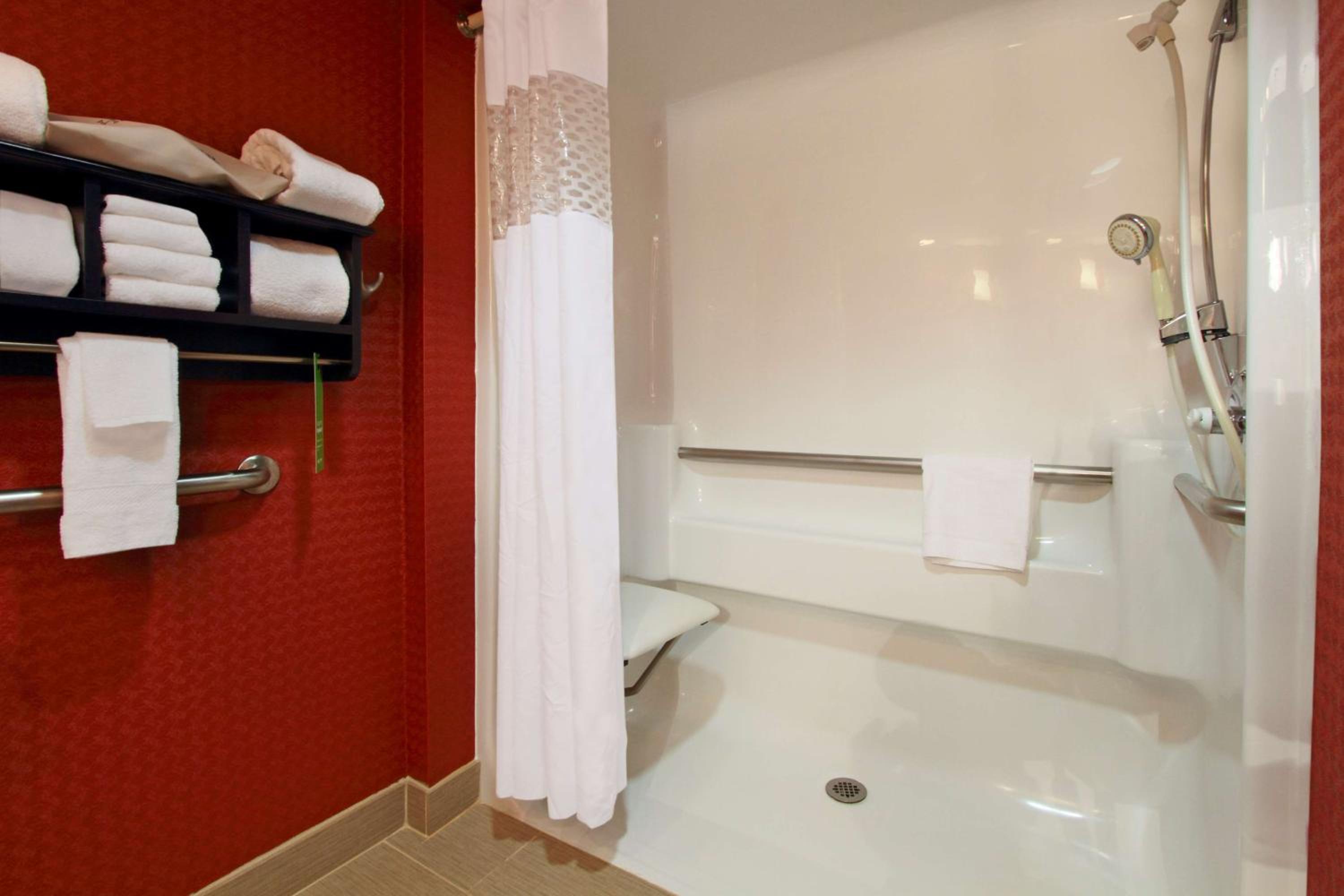 King Room with Roll-In Shower - Mobility and Hearing Access/Non-Smoking - Photo 2