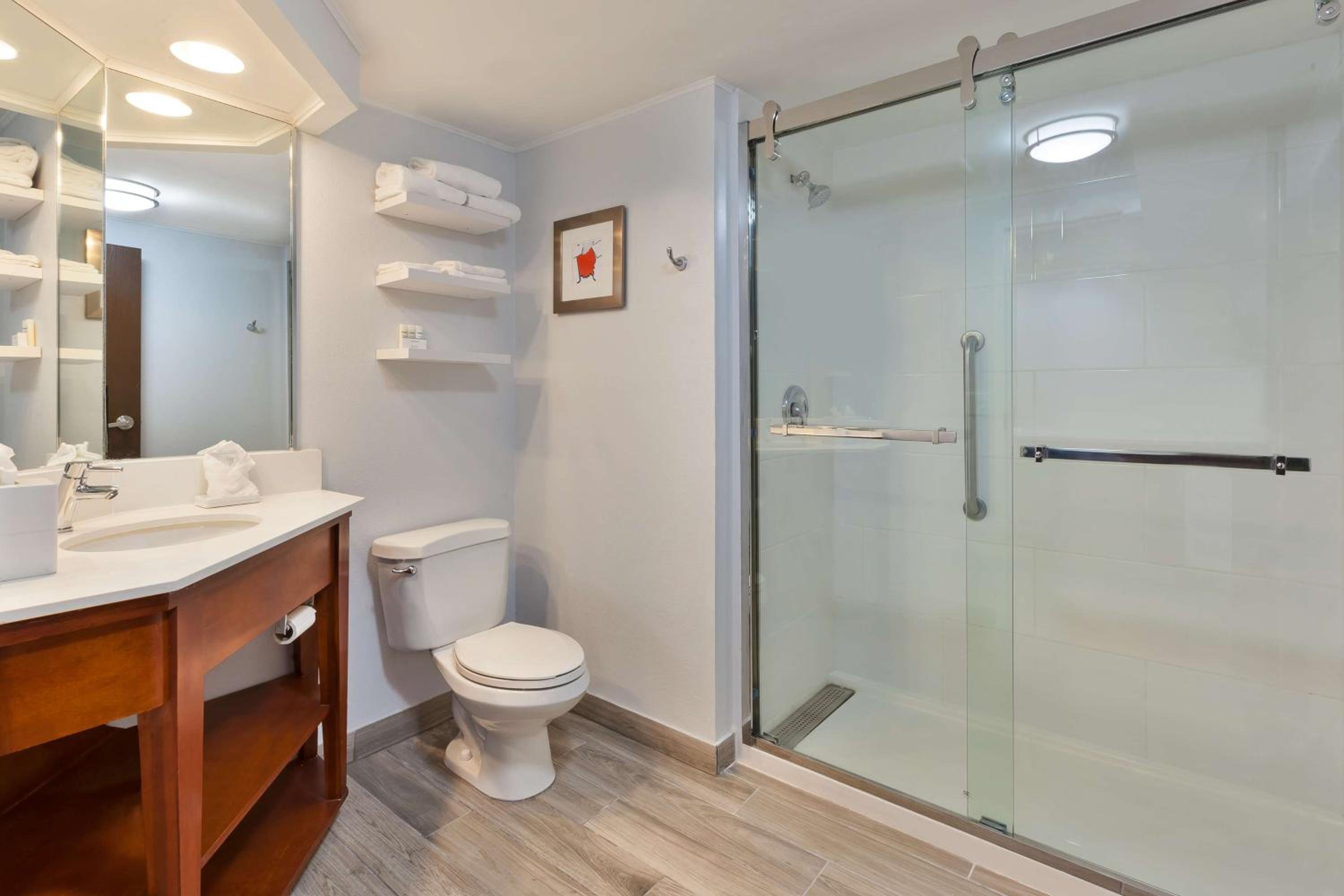 King Suite - Non-Smoking - Photo 4
