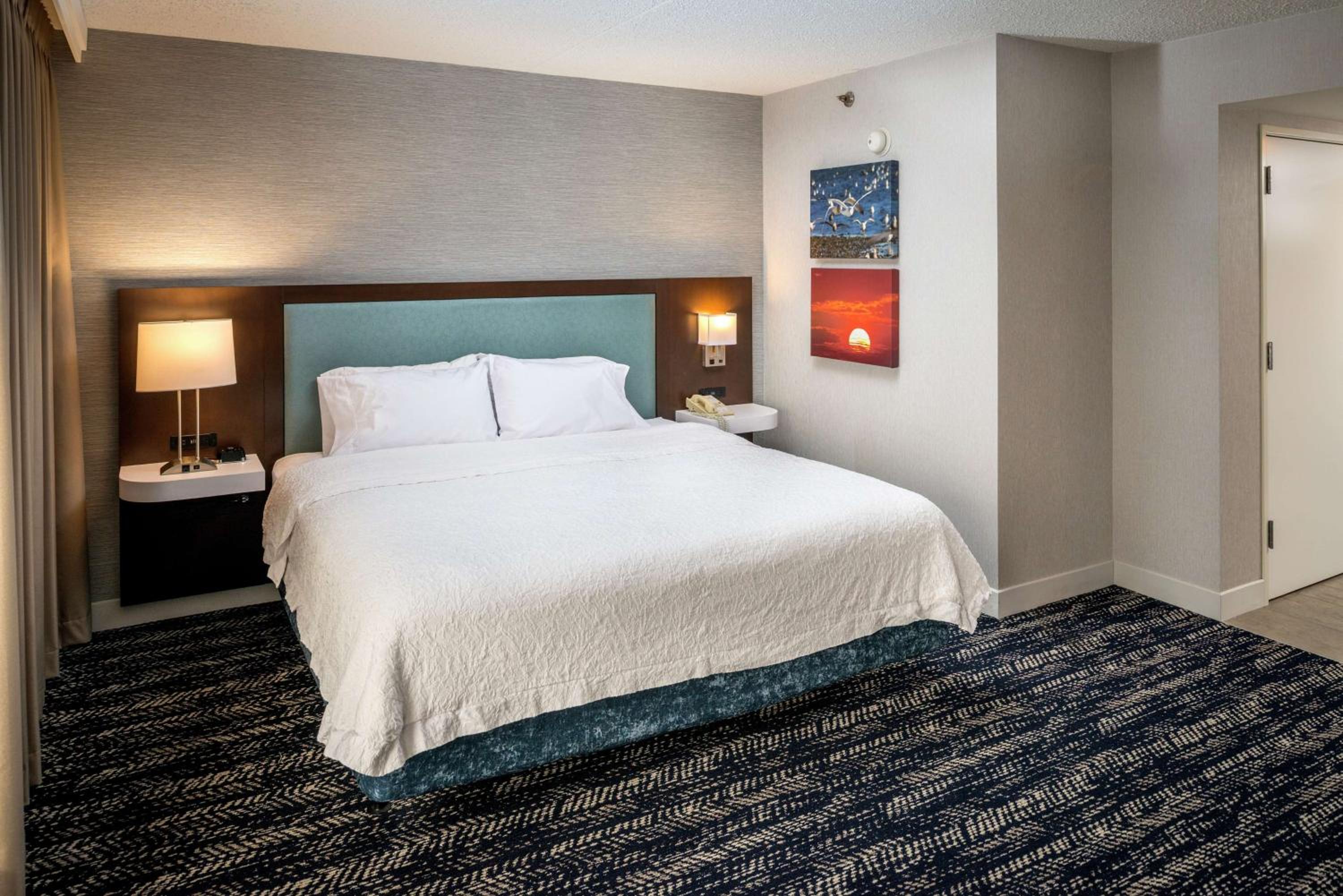 King Room with Roll-In Shower - Mobility Access/Non-Smoking - Photo 2