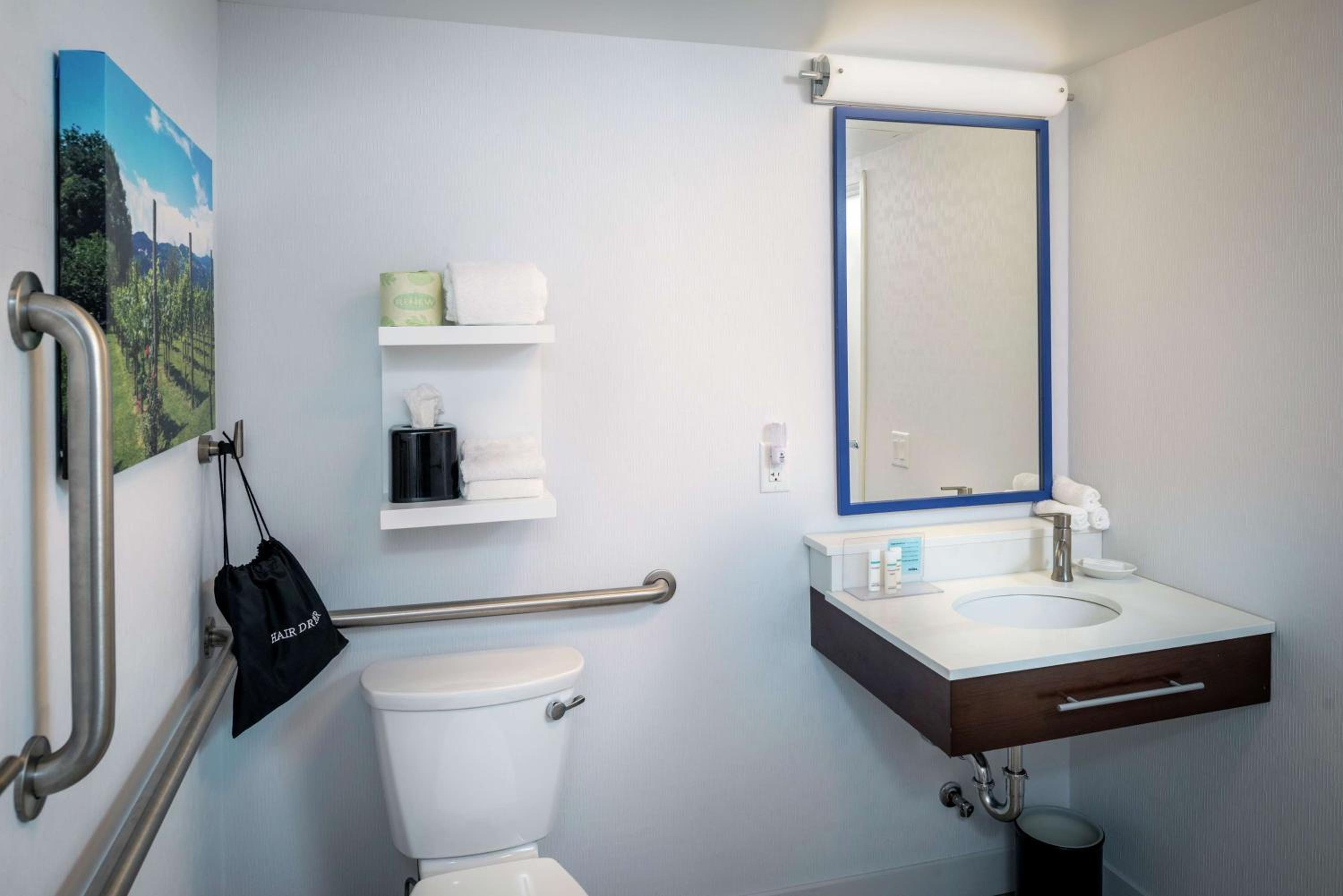 King Room with Roll-In Shower - Mobility Access/Non-Smoking - Photo 4