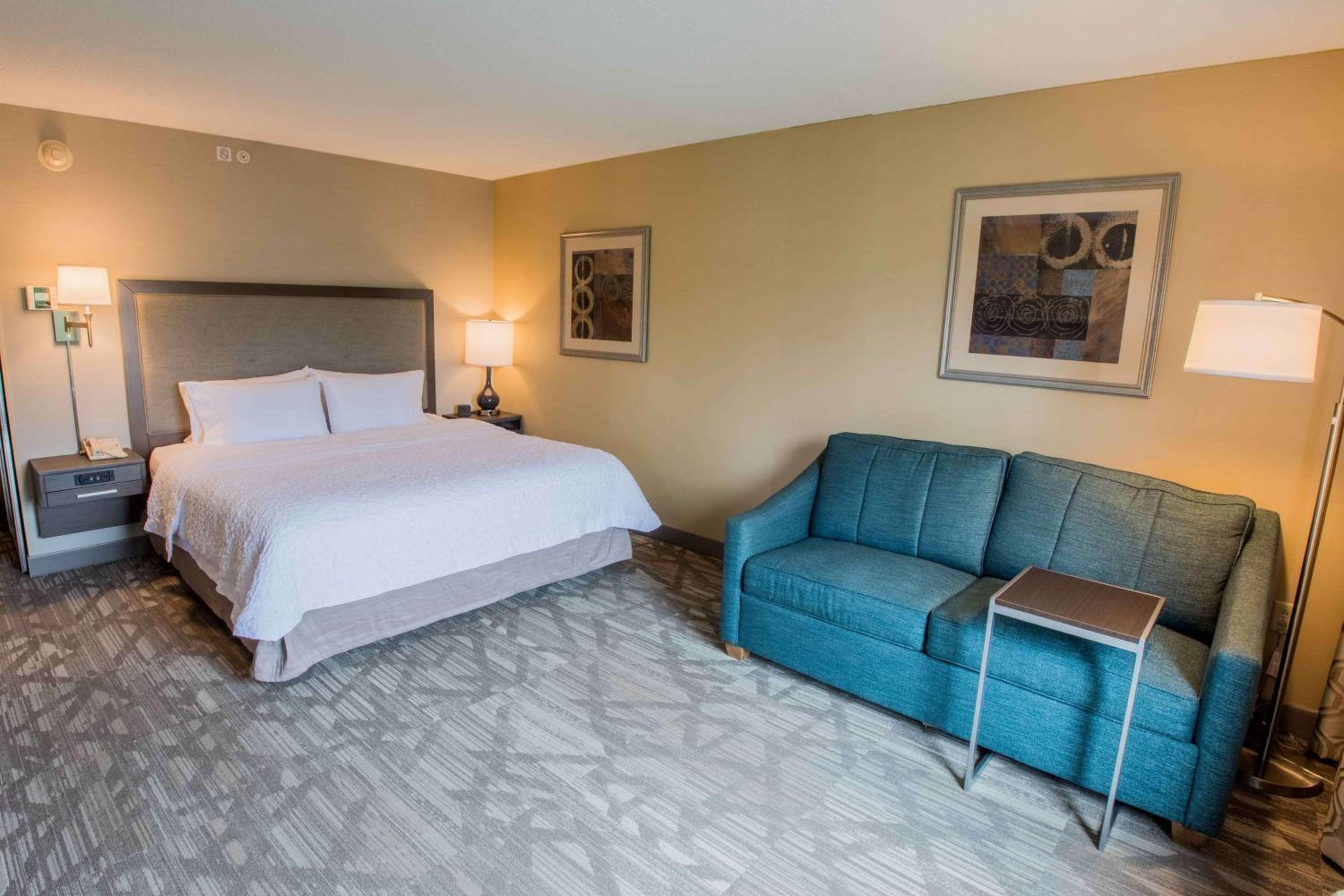 Deluxe King Room with Sofa Bed - Photo 1