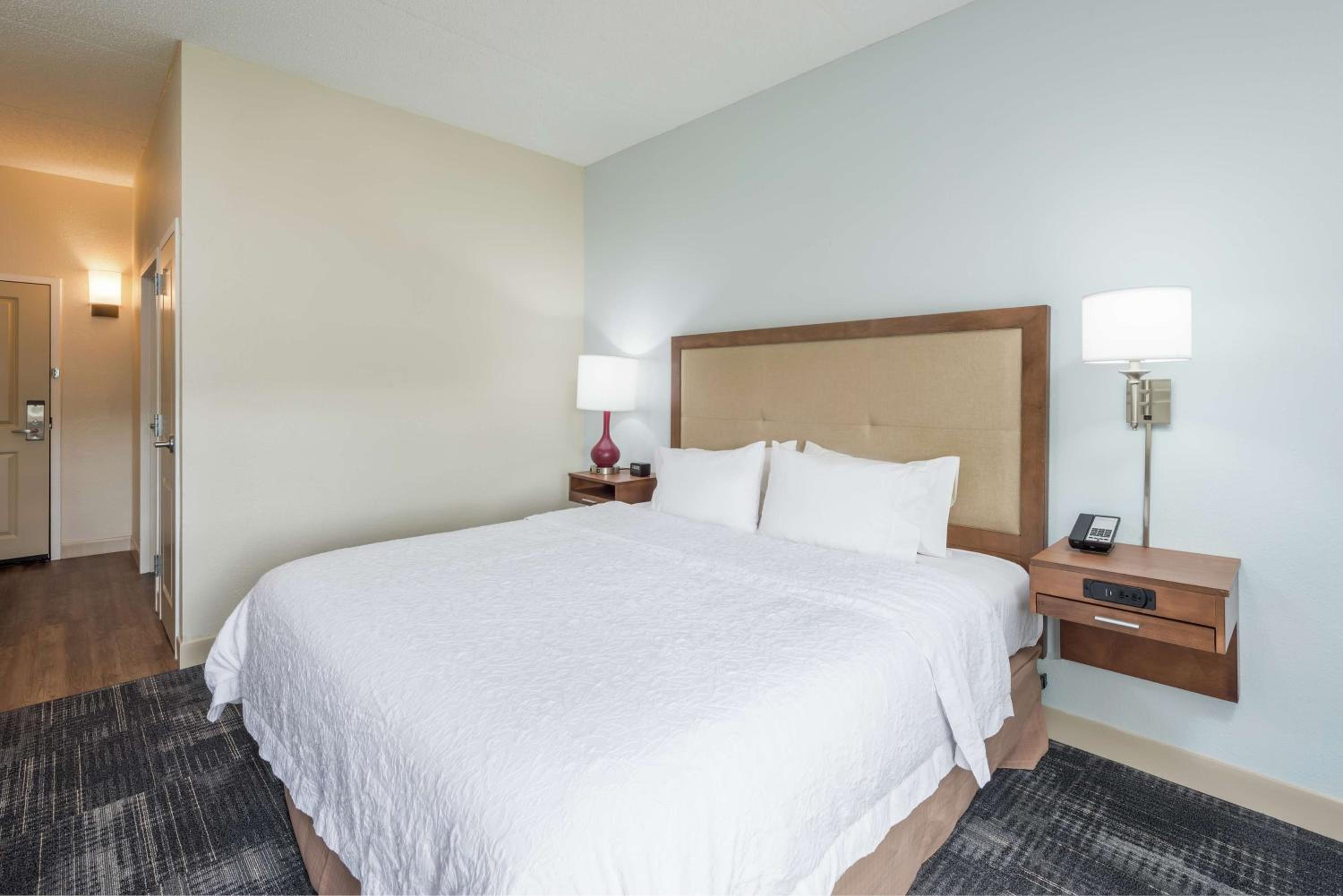 King Room with Roll-In Shower - Mobility Access/Non-Smoking - Photo 3