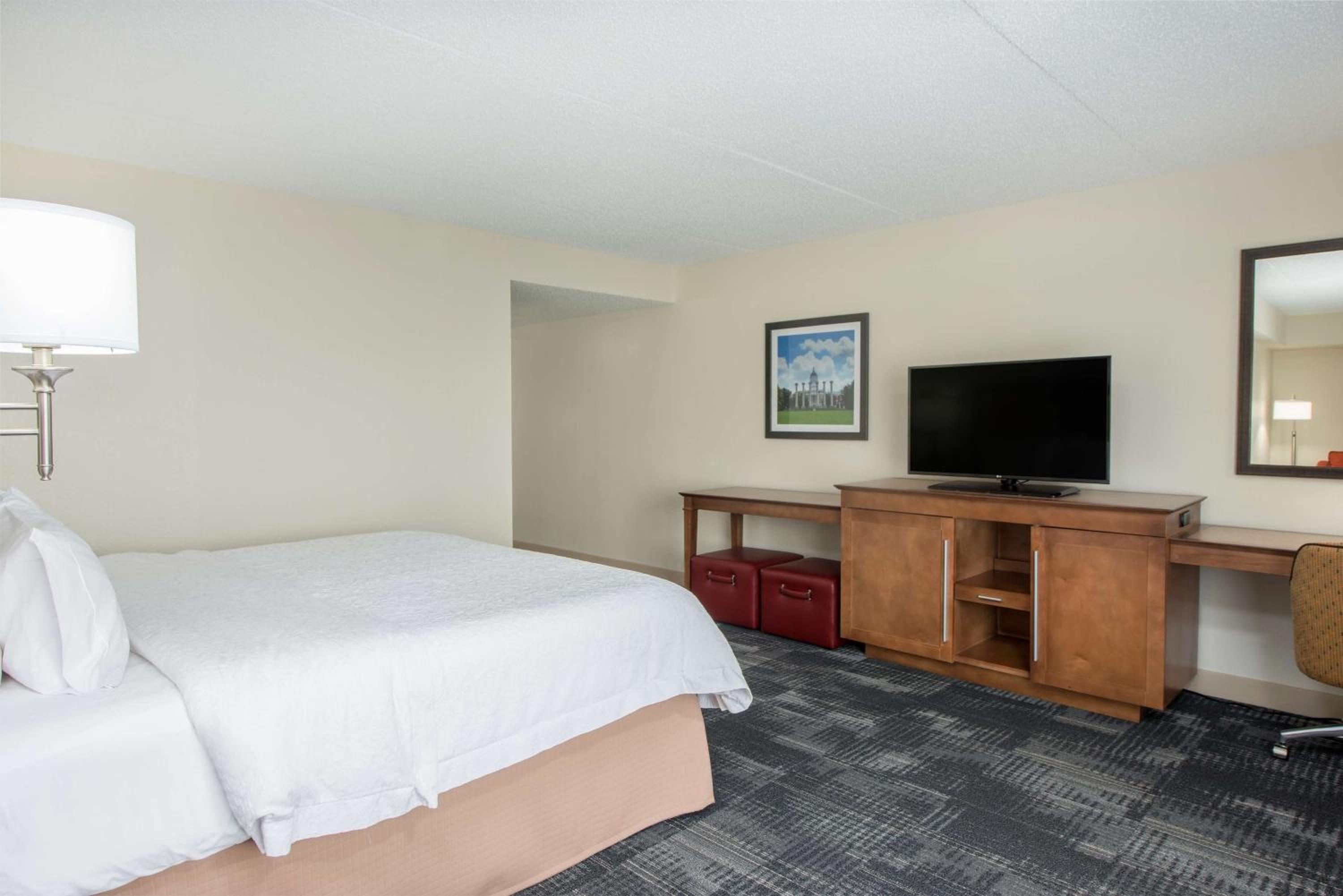 Executive Queen Room - Photo 8