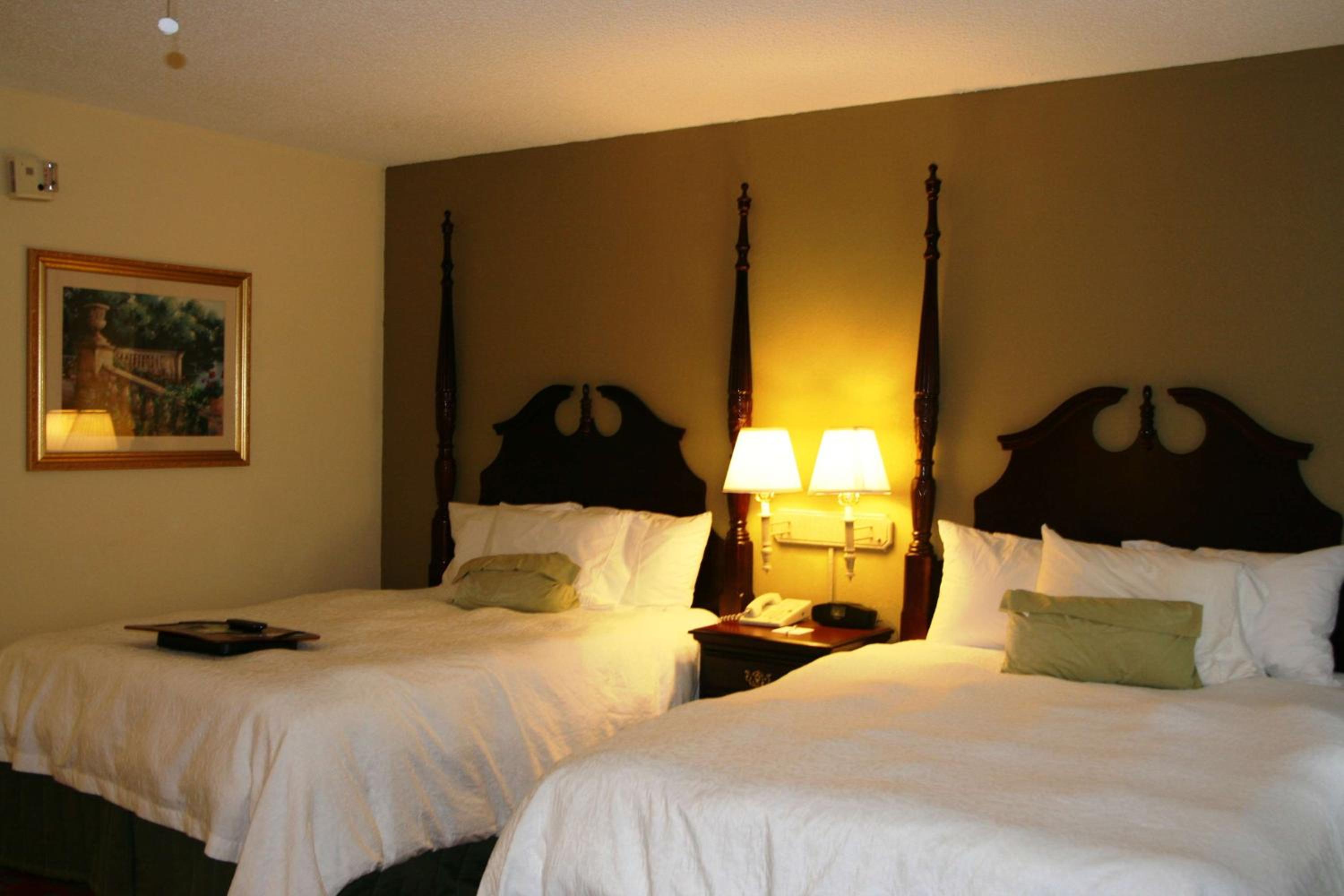 Queen Studio Suite with Two Queen Beds - Non-Smoking - Photo 2