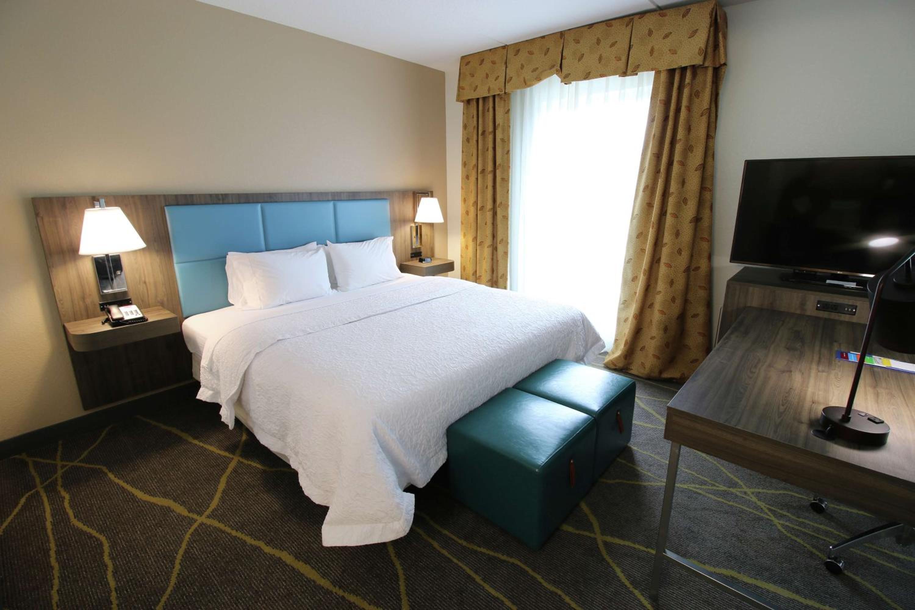 King Studio Suite with Sofa Bed - Non-Smoking - Photo 5