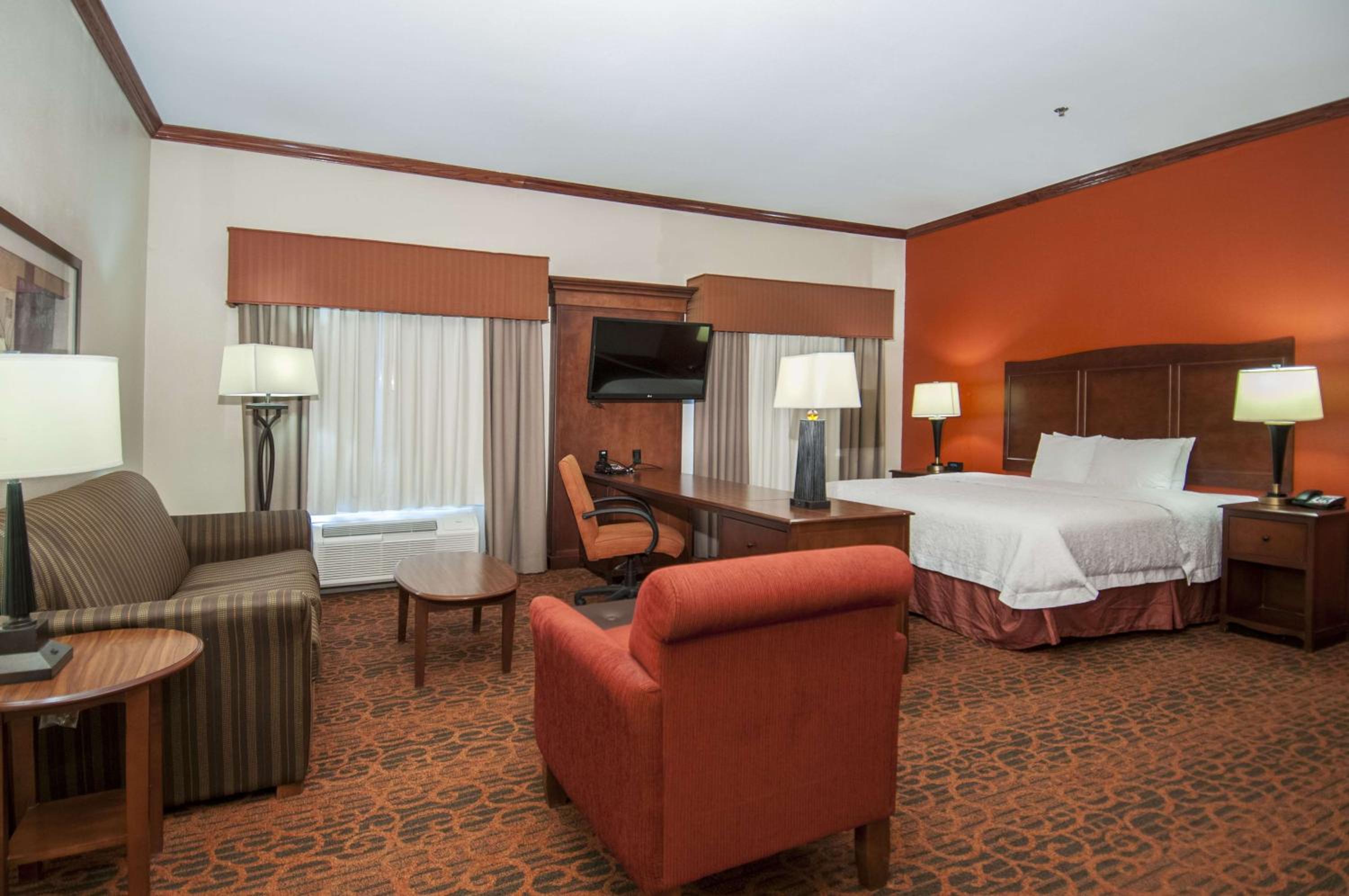 King Studio Suite with Sofa Bed - Non-Smoking - Photo 3