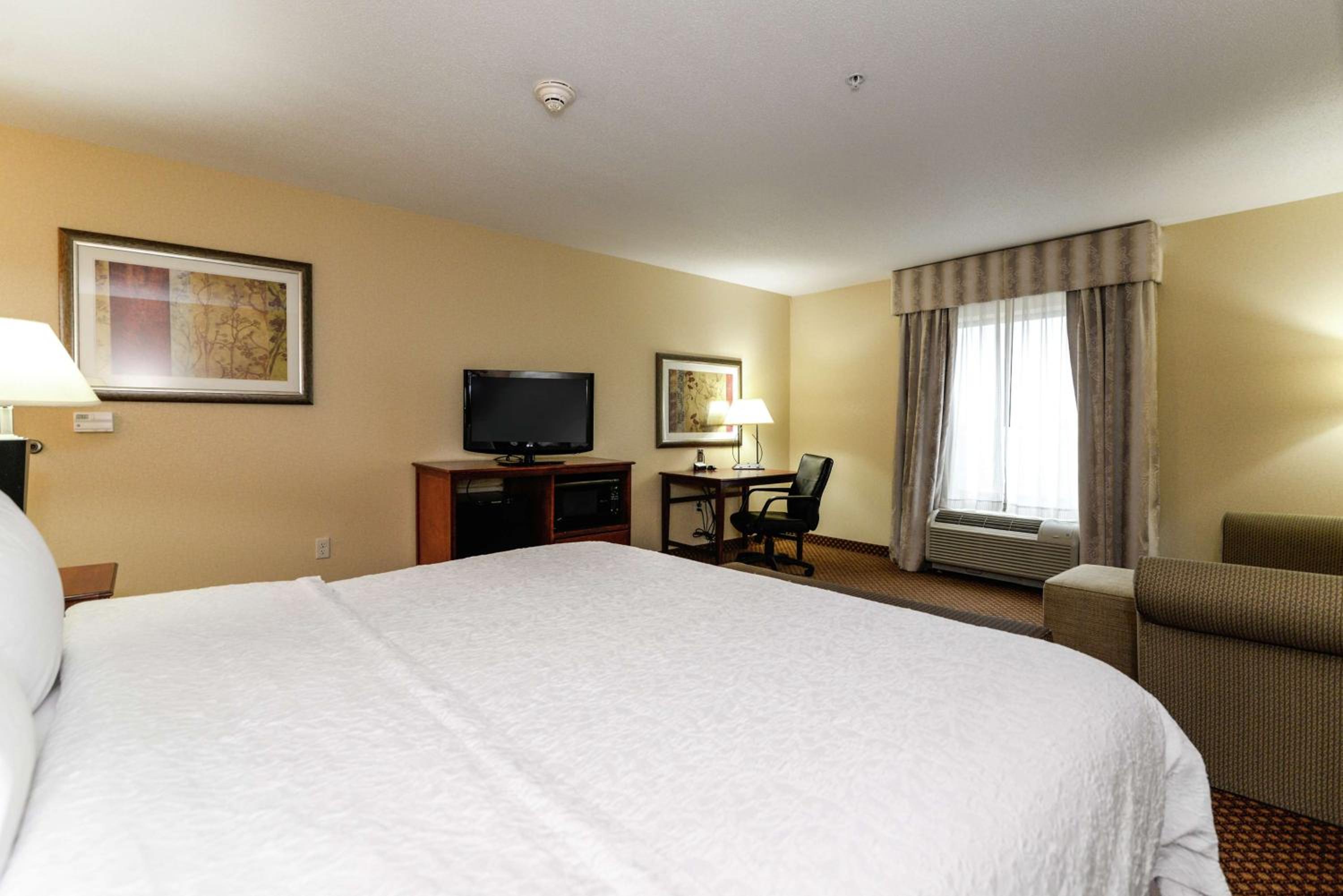 King Studio Suite with Sofa Bed - Non-Smoking - Photo 4