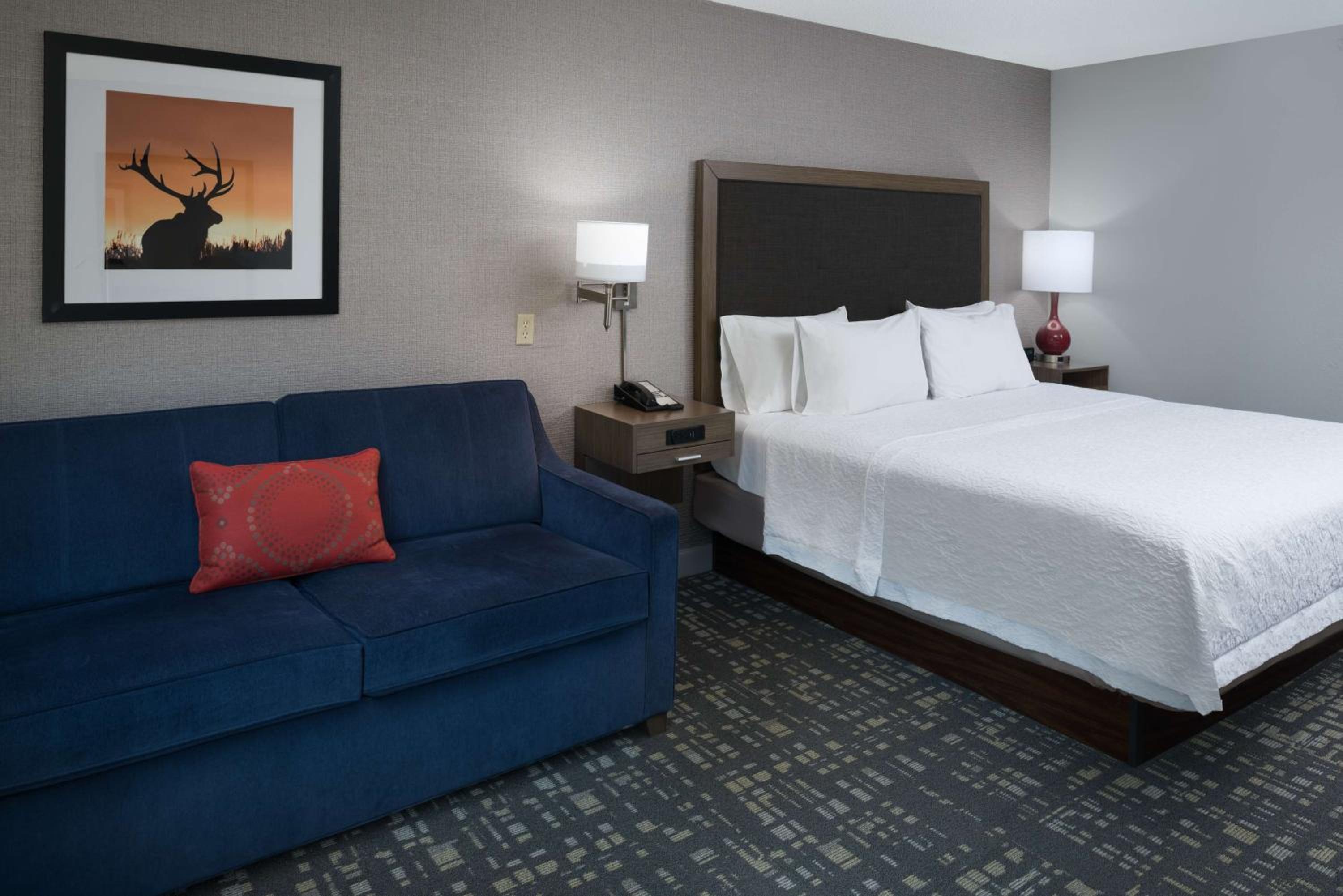 King Room - Photo 5