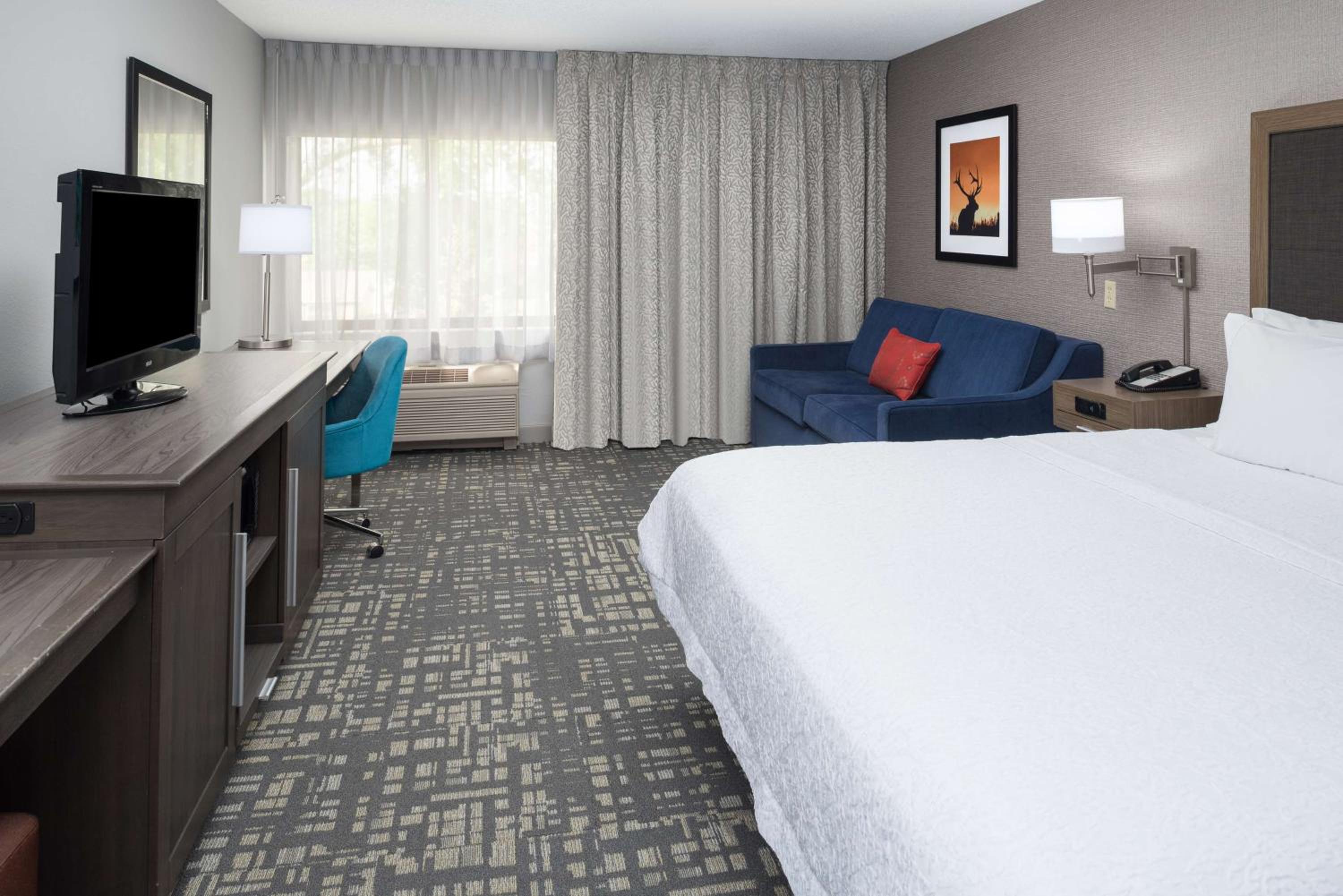 King Room - Photo 4