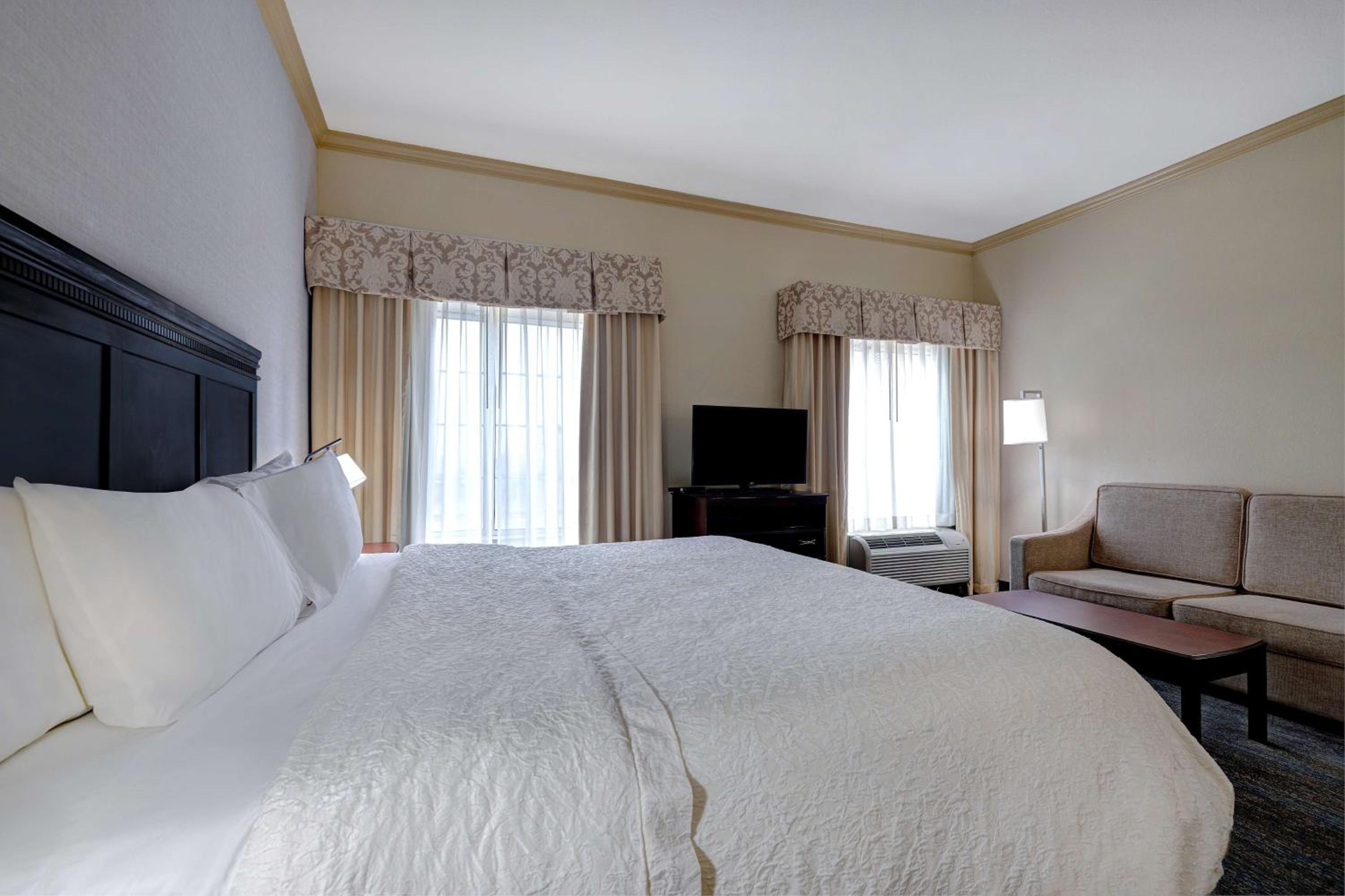 King Studio Suite with Sofa Bed - Non-Smoking - Photo 2