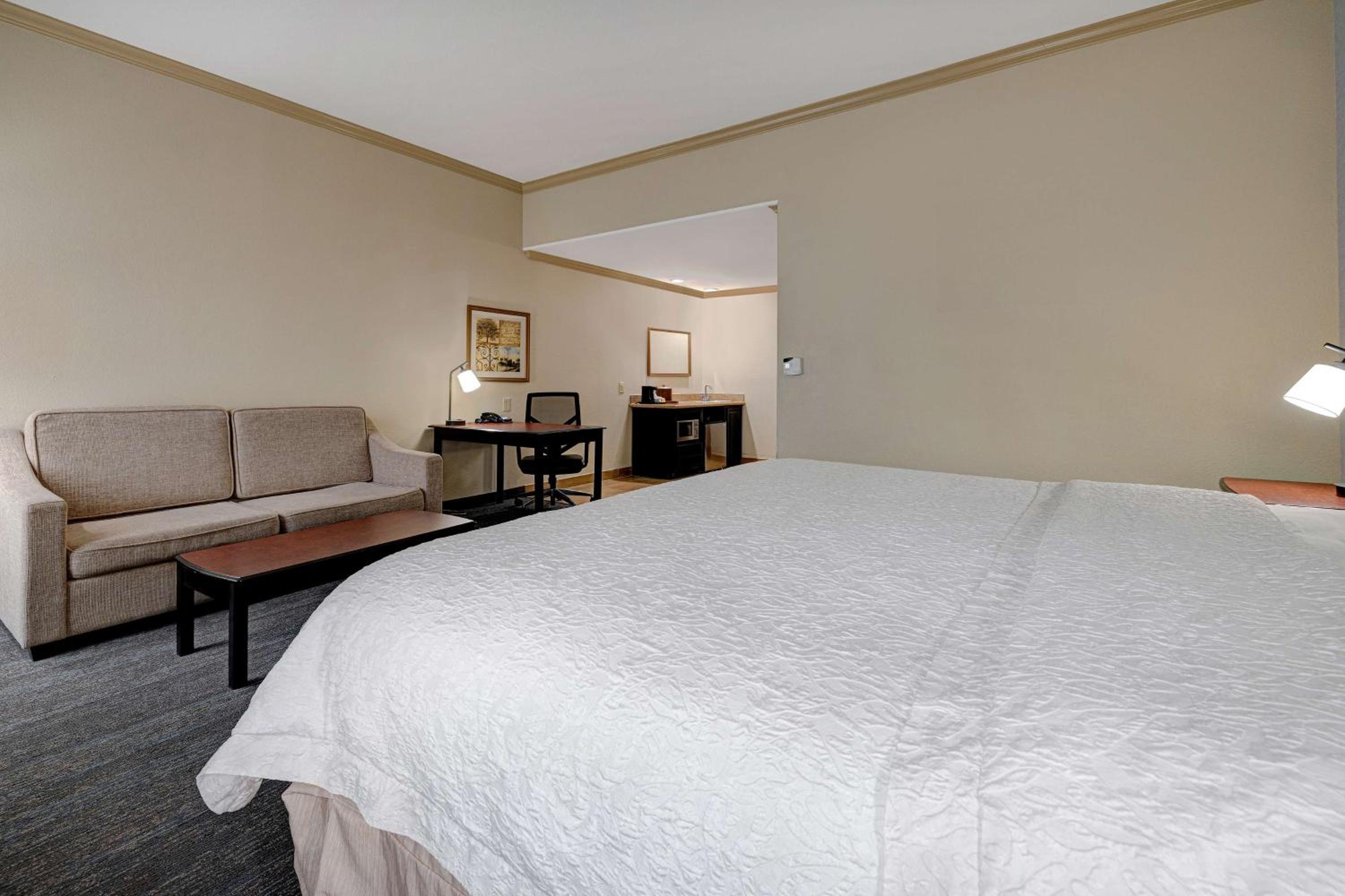 King Studio Suite with Sofa Bed - Non-Smoking - Photo 3