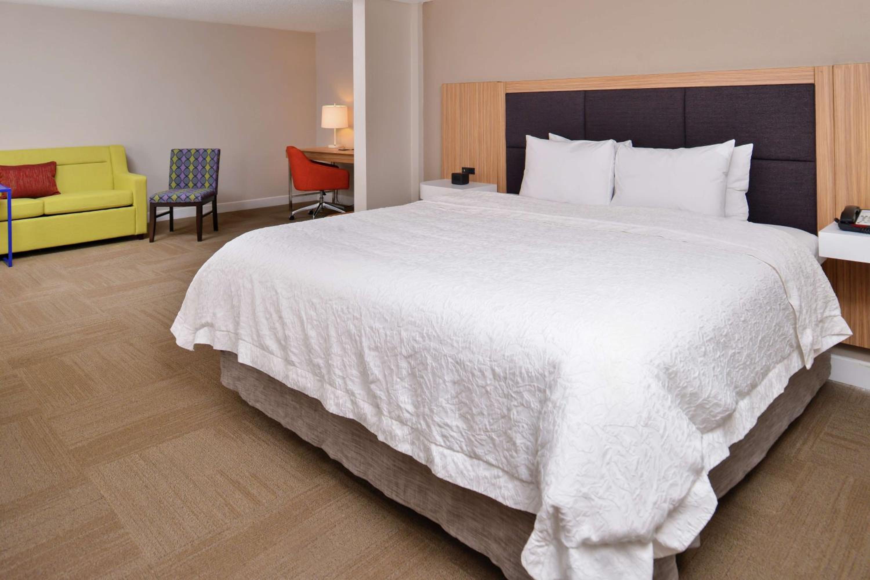 Business King Suite with Sofa Bed - Non-Smoking - Photo 3